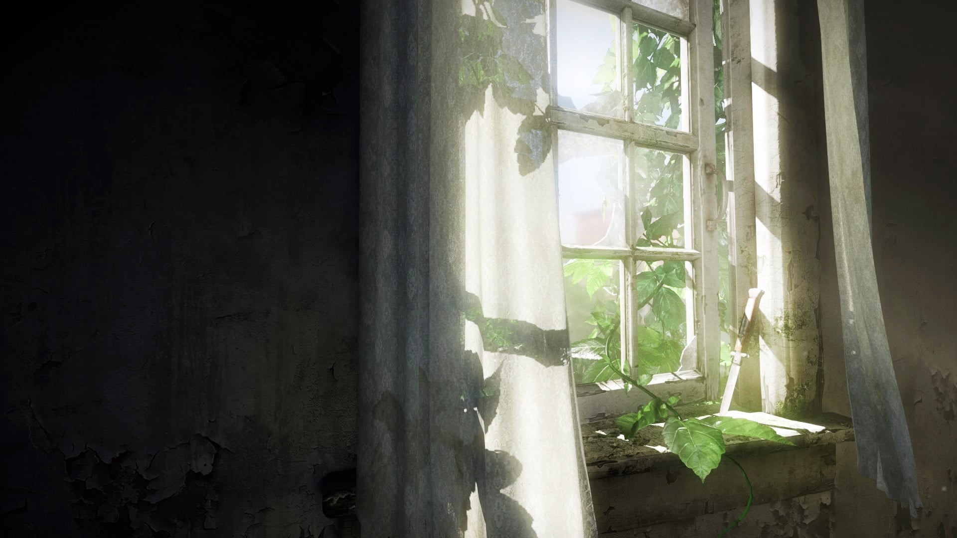 curtain, abandoned, video games, streaming, leaf, growth, wall - building feature, 1080P, building, sunlight, built structure, green, ruined, no people, HD Wallpaper