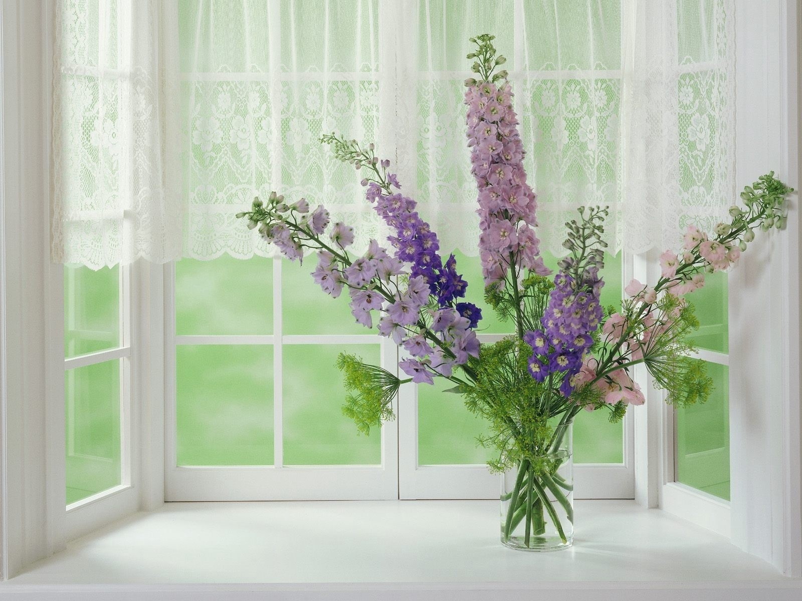 light - Natural Phenomenon, leaf, modern, day, purple, window Sill, flooring, flower arrangement, white, wood - Material, apartment, flowers, house, curtain, HD Wallpaper