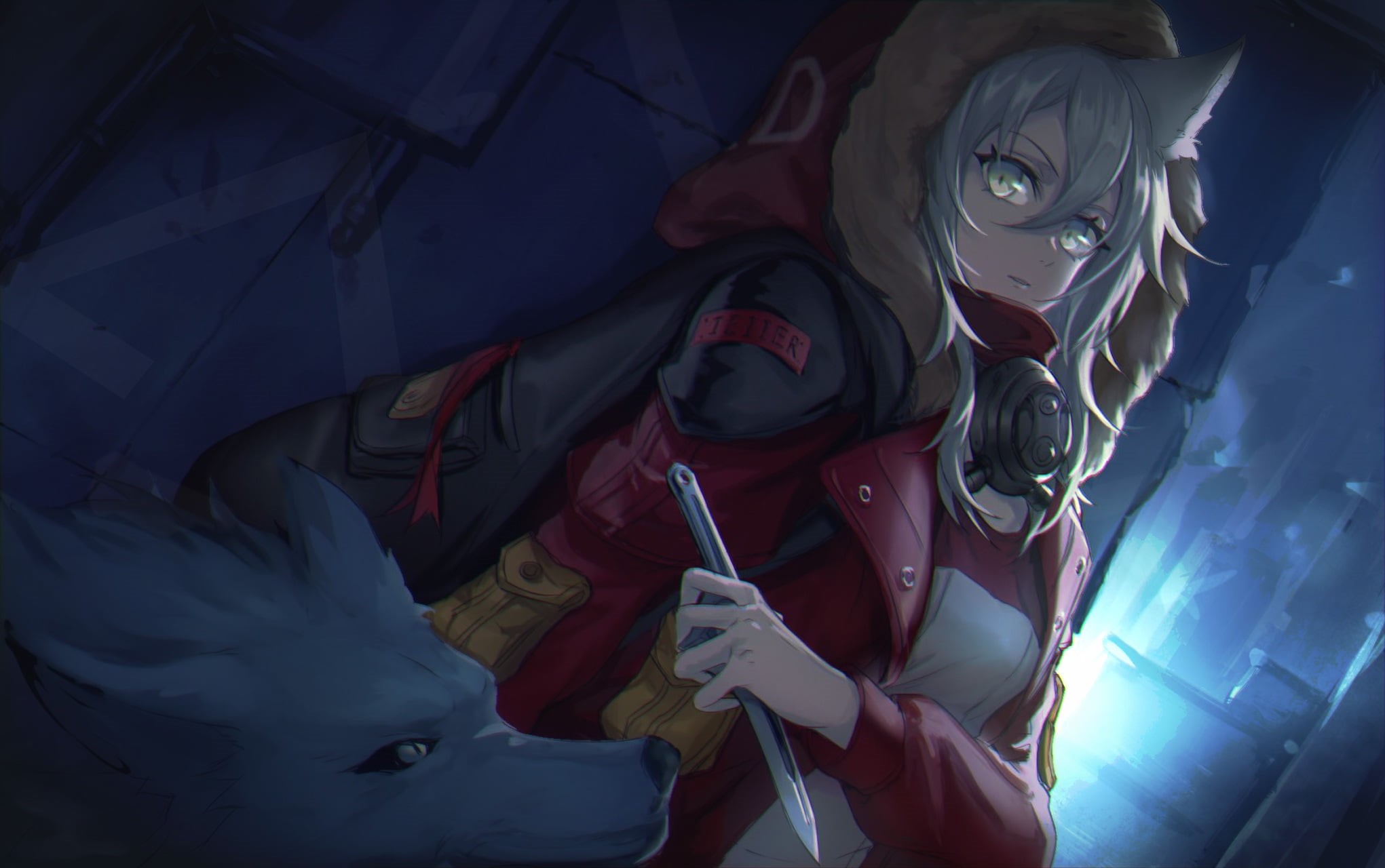 green eyes, knife, anime, wolf, animal ears, white hair, long hair, neko ears, Arknights, weapon, anime girls, 1080P, HD Wallpaper