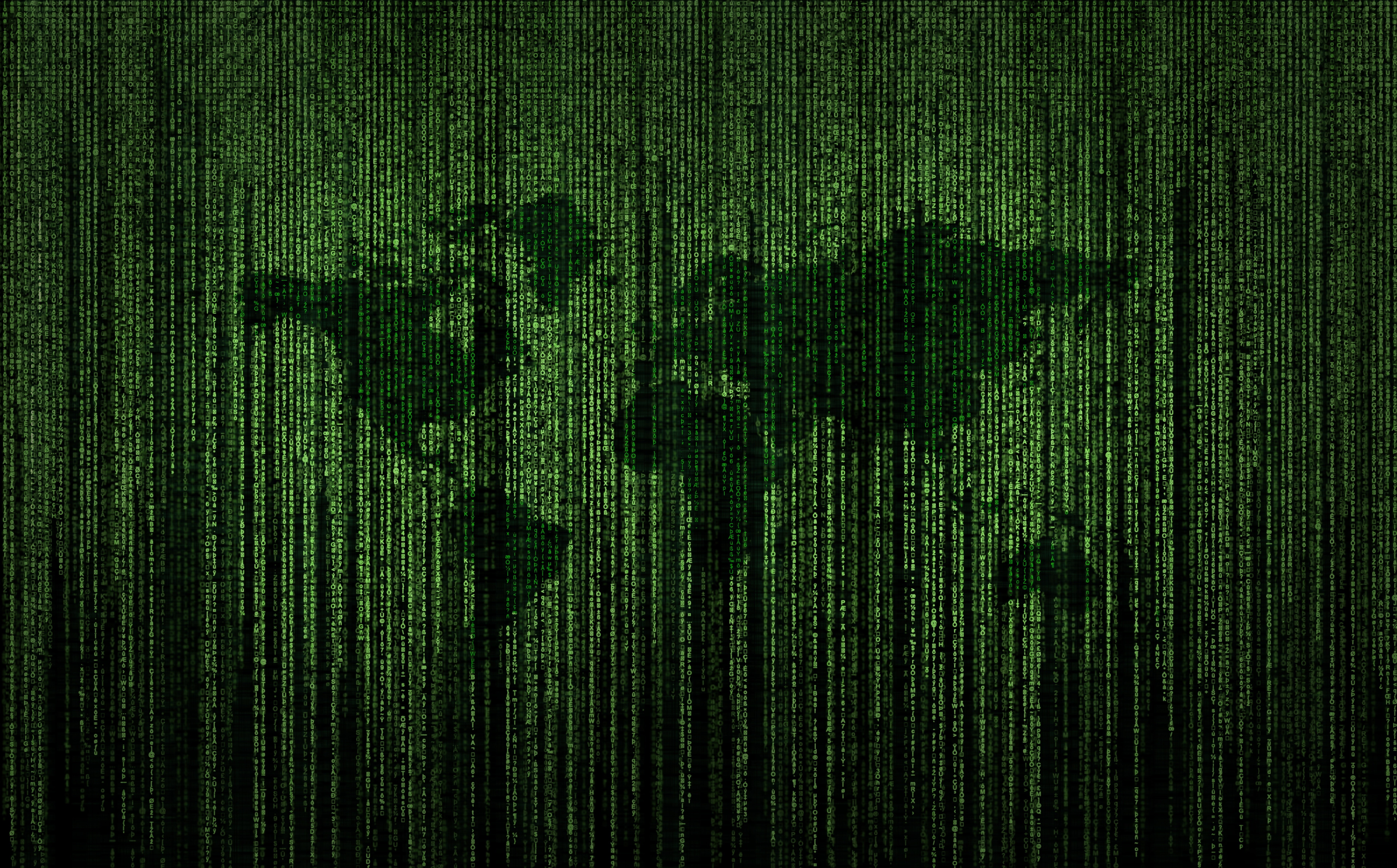 datatheft, computerscience, virus, username, software, Binary, Computers, computerviruses, program, transfer, infestation, byte, binarysystem, HD Wallpaper