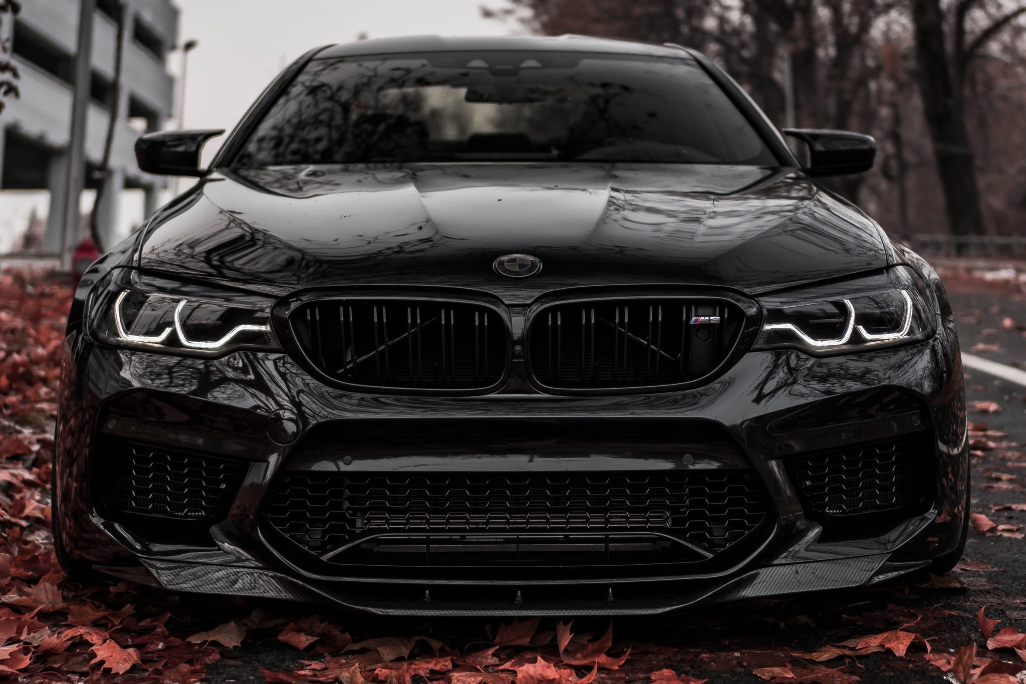 F90, Autumn, Predator, Light, BMW, Black, 1080P, Face, Sight, HD Wallpaper