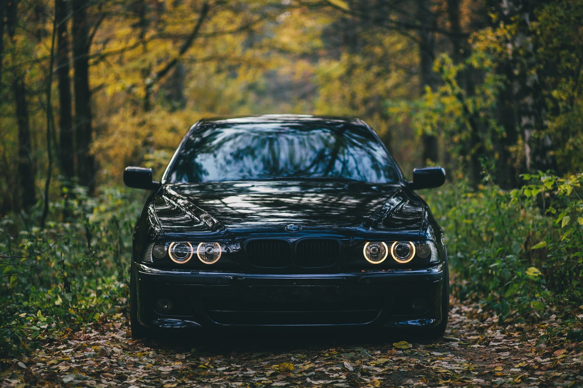 autumn, bumper, change, plant part, crossover Utility Vehicle, shiny, land Vehicle, street, headlight, tree, motor Vehicle, focus on foreground, 1080P, HD Wallpaper
