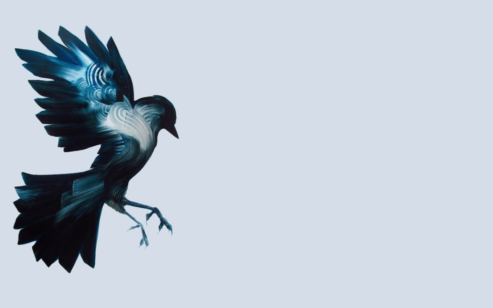 spread wings, flying, clear sky, no people, animals, artwork, animals in the wild, white, vertebrate, animal wildlife, one animal, simple background, nature, HD Wallpaper