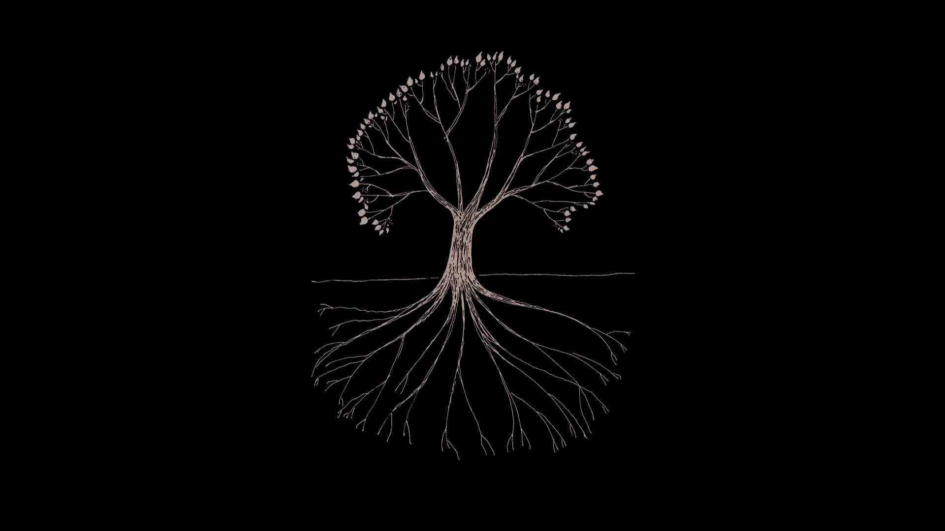 creativity, indoors, copy space, trees, light painting, minimalism, cut out, illuminated, no people, night, studio shot, dark, plant, design, glowing, artwork, HD Wallpaper