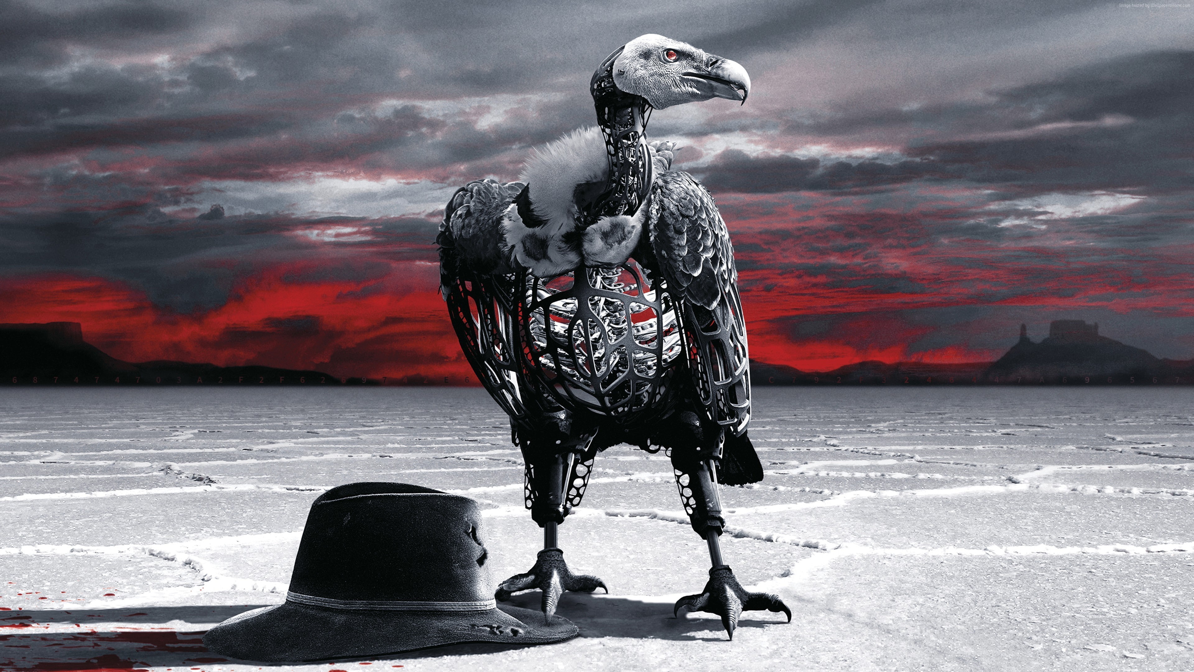 outdoors, bird, Westworld Season 2, animals in the wild, sea, 4K, day, representation, animal wildlife, animal, water, Eagle, animal themes, one animal, HD Wallpaper