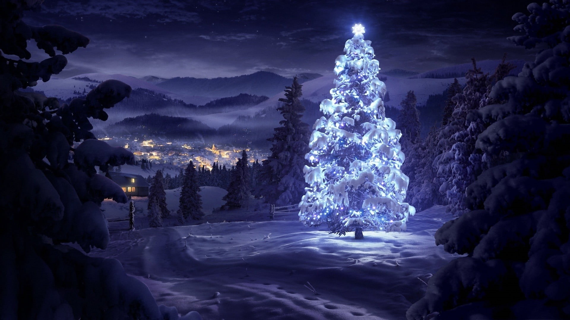 lights, snow, area, sky, light - Natural Phenomenon, illuminated, Christmas, cold - Temperature, plant, frost, woodland, snowing, Christmas Tree, christmas lights, HD Wallpaper