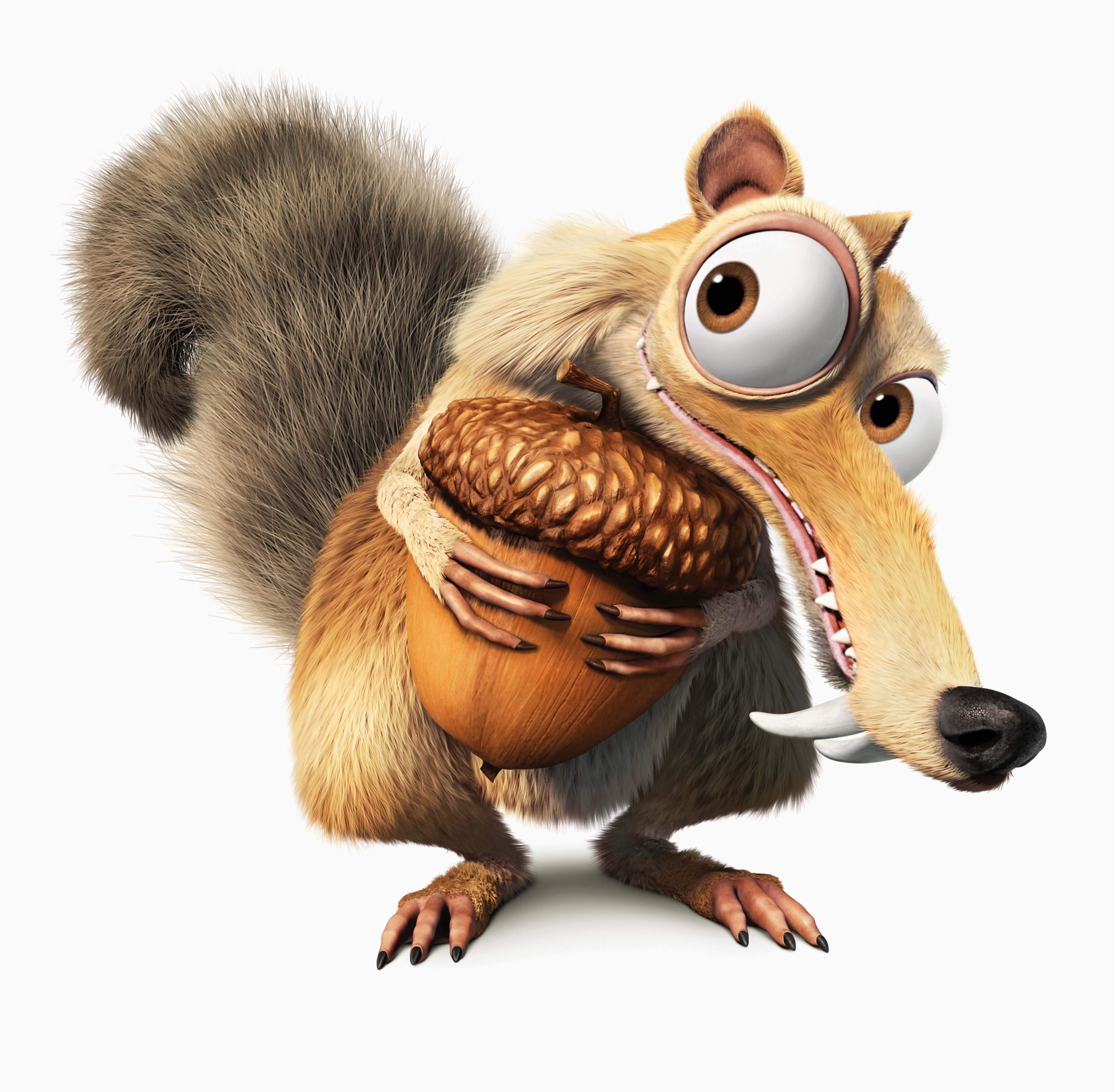 Scrat, no people, white background, domestic animals, mammal, animal wildlife, aggression, cute, animal body part, domestic, one animal, indoors, cut out, HD Wallpaper