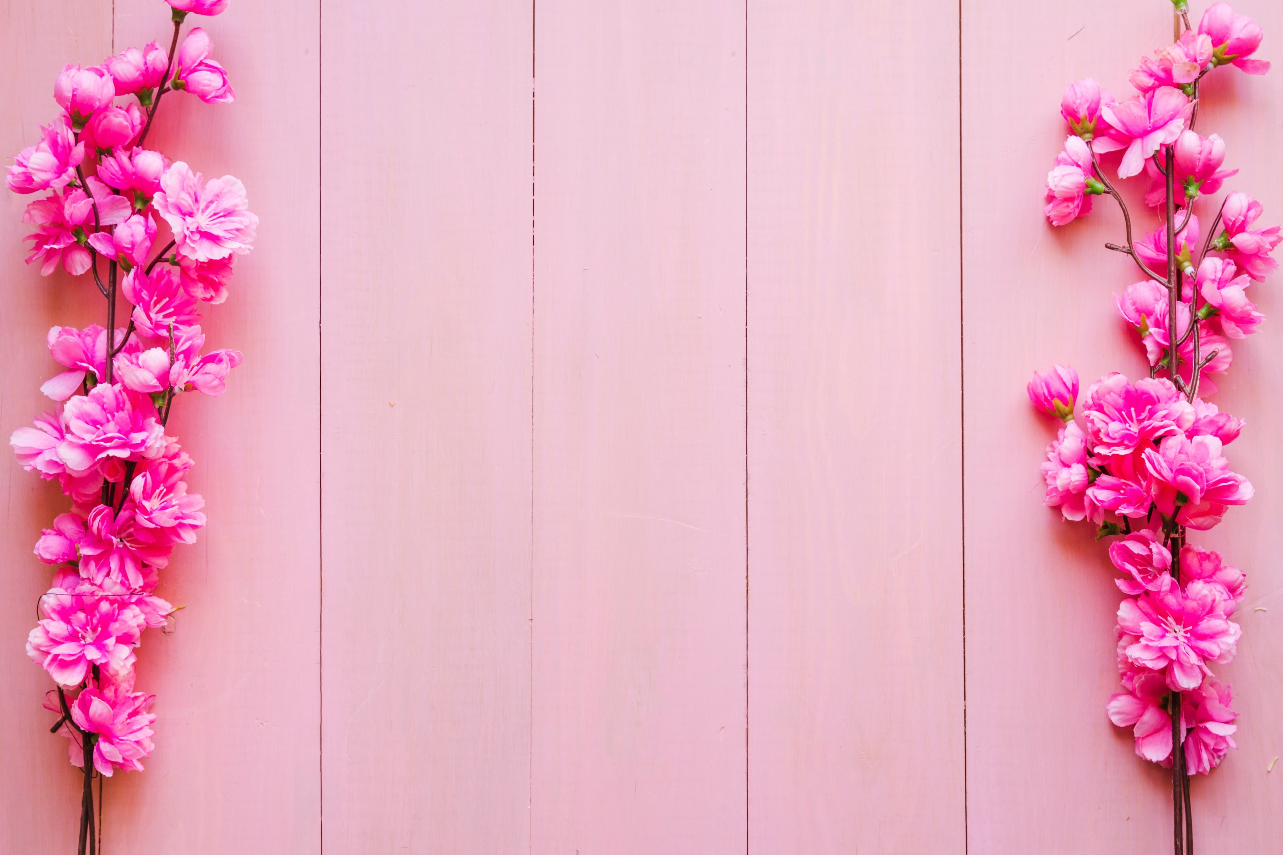 pink, 4K, background, wood, blossom, flowers, spring, branches, HD Wallpaper
