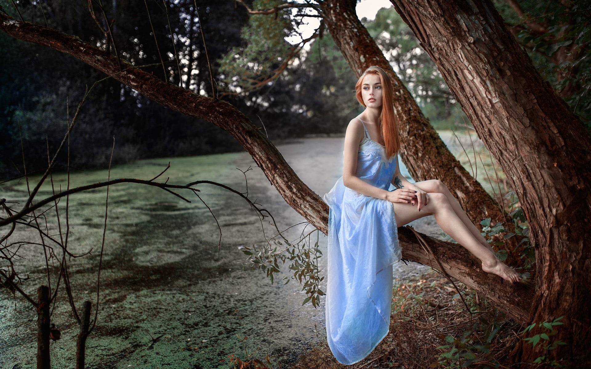 adult, dress, beauty, branch, bare shoulders, s, standing, sitting, skinny, 1080P, barefoot, long hair, tree trunk, one person, plants, women outdoors, HD Wallpaper