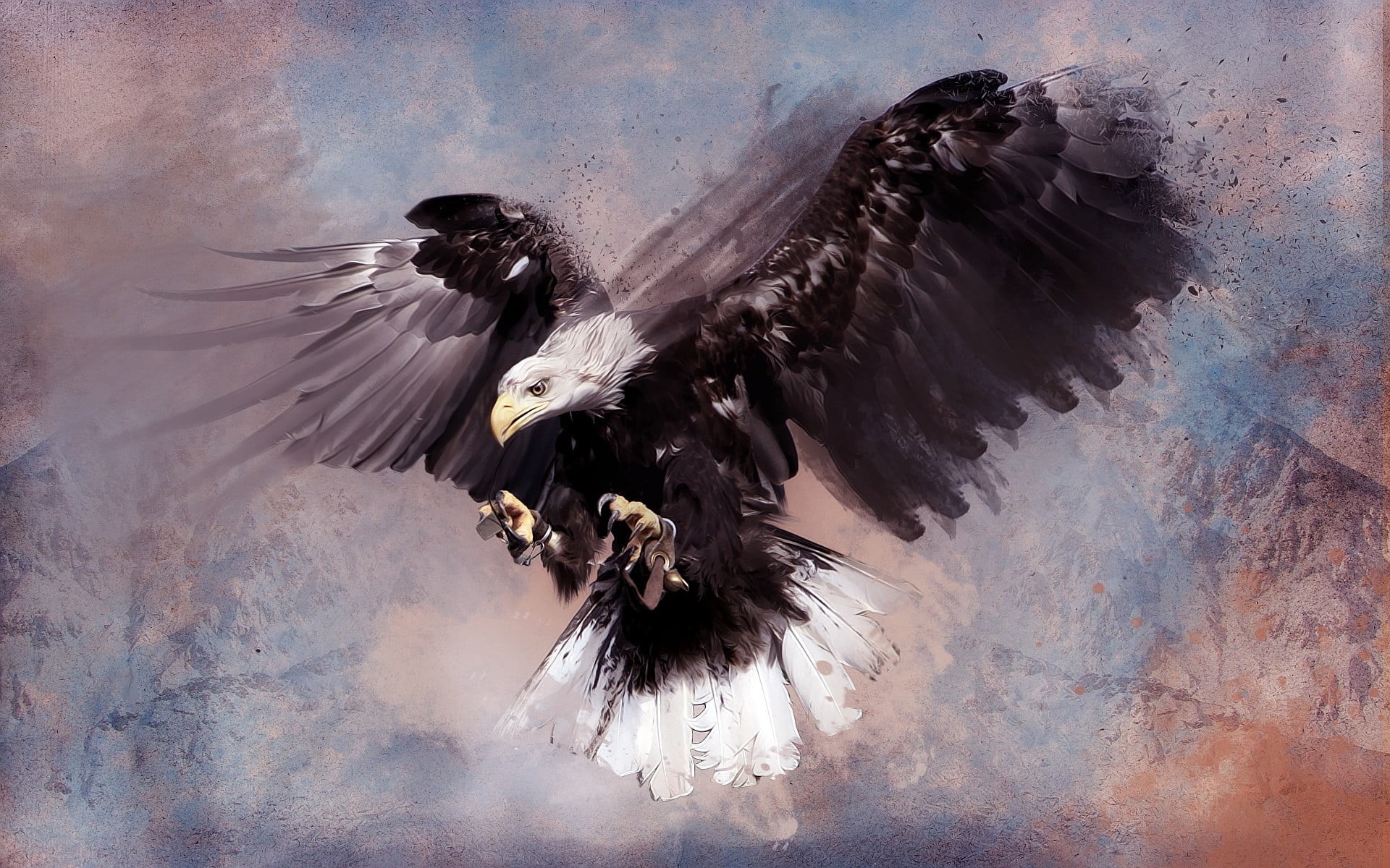 feather, bald, digital composite, animal body part, 1080P, animal wing, animal themes, vertebrate, spread wings, multicolored, bird, animals in the wild, HD Wallpaper