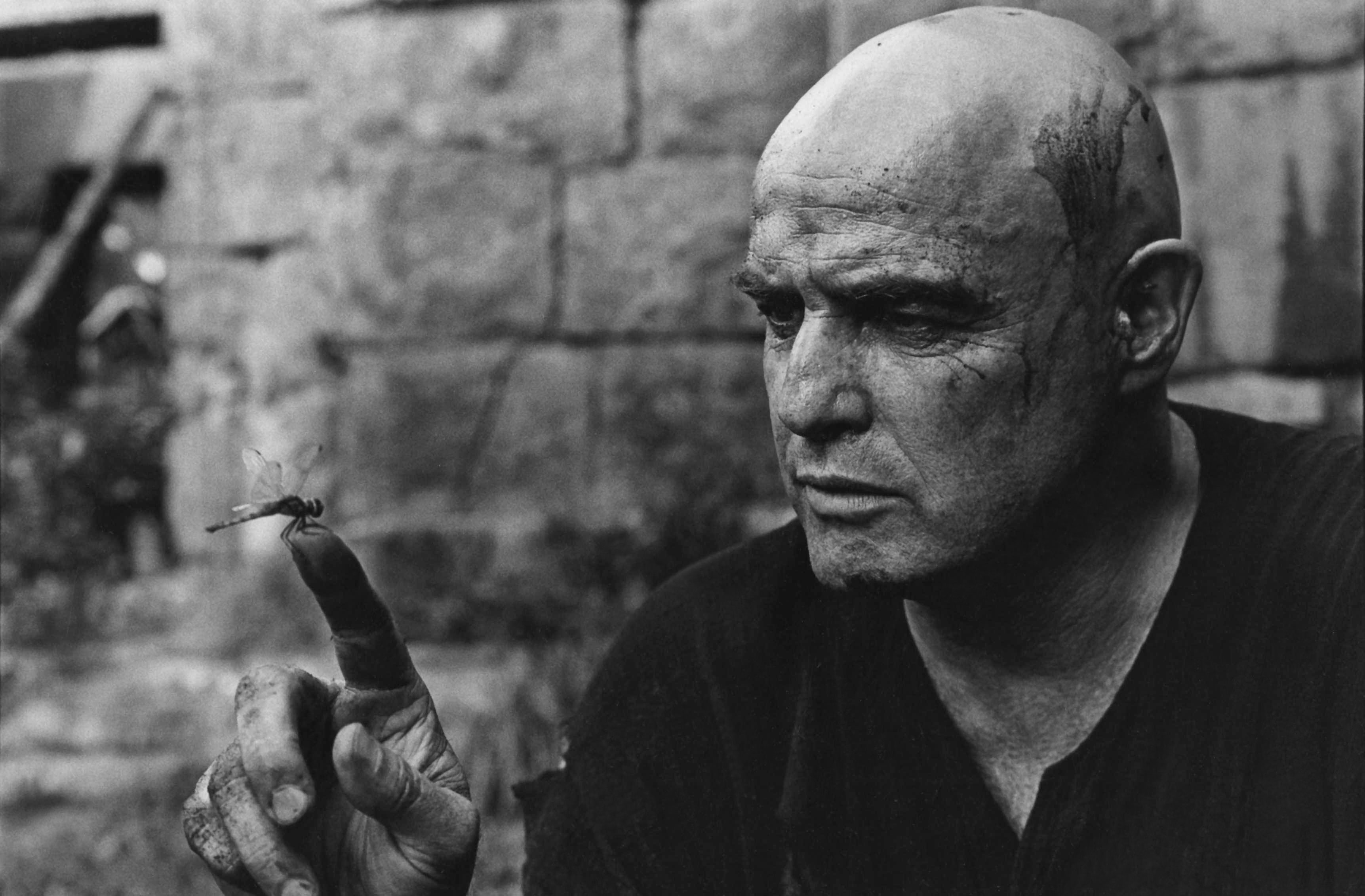 2K, photography, bald head, Apocalypse Now, dragonflies, Francis Ford Coppola, Marlon Brando, movies, monochrome, Walter  E. Kurtz, HD Wallpaper