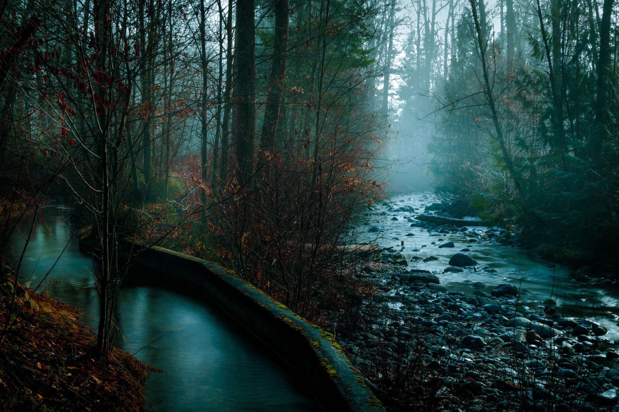 beauty in nature, day, fall, tree, mist, photography, rocks, trees, tranquil scene, non-urban scene, plant, connection, stream - flowing water, scenics - nature, HD Wallpaper