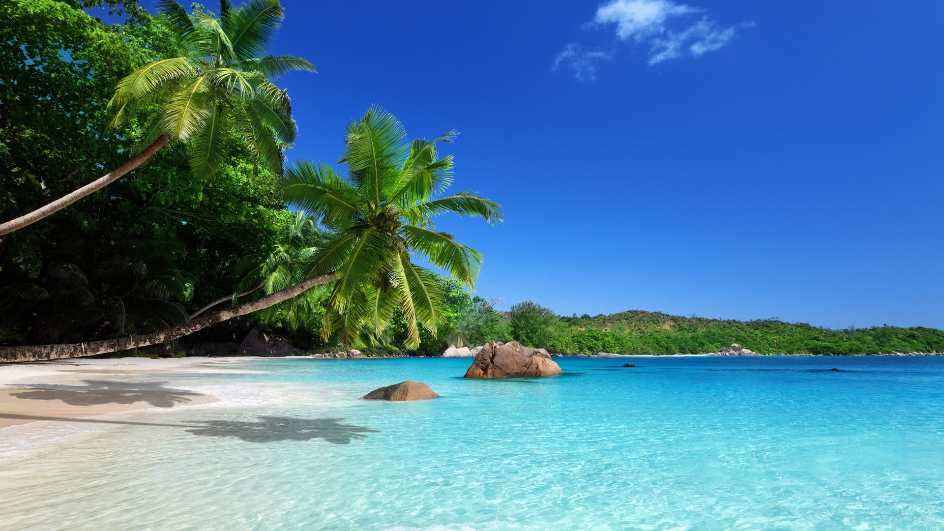 two, trees, no people, tropical tree, trip, sea, beach, tropical, palm tree, luxury, coconut, coconut palm tree, tranquility, scenics - nature, land, beauty in nature, HD Wallpaper
