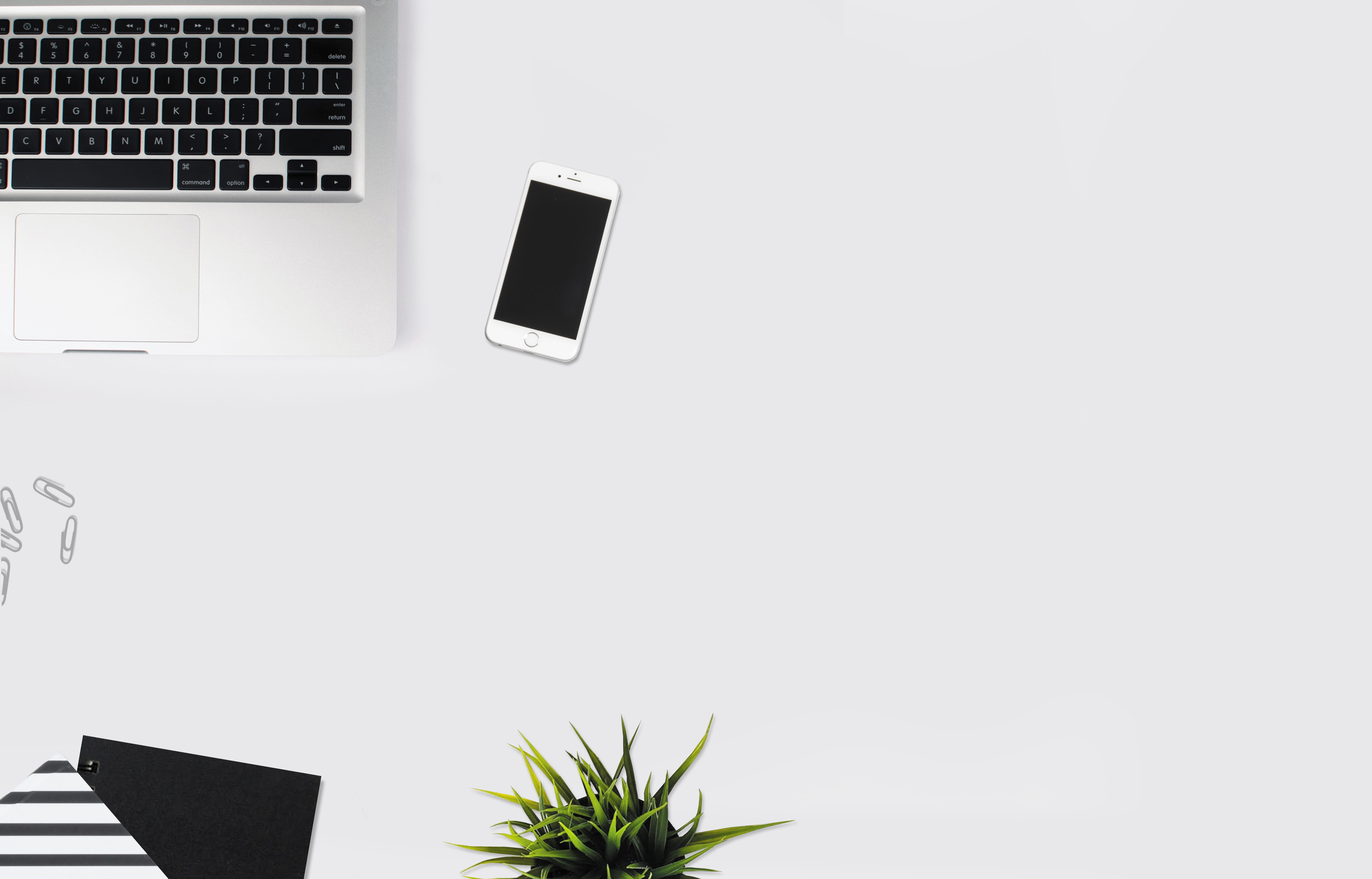 portable information device, work, houseplant, white, studio shot, computer, connection, technology, internet, computer equipment, laptop, no people, keyboard, HD Wallpaper