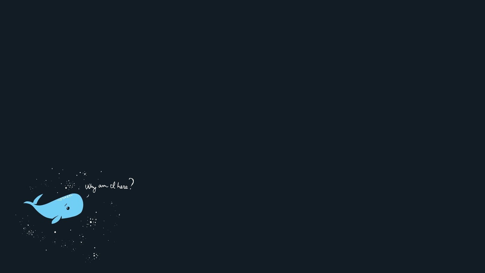 untitled, simple background, single object, animal, high angle view, tranquility, sign, sea, clip, art, indoors, copy space, cut out, 1080P, abstract, HD Wallpaper