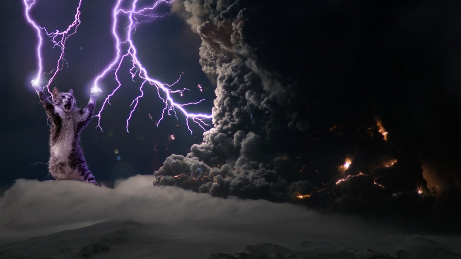 ominous, digital art, storm, no people, 720P, cat, dark humor, beauty in nature, power, thunderstorm, power in nature, scenics - nature, environment, sign, HD Wallpaper