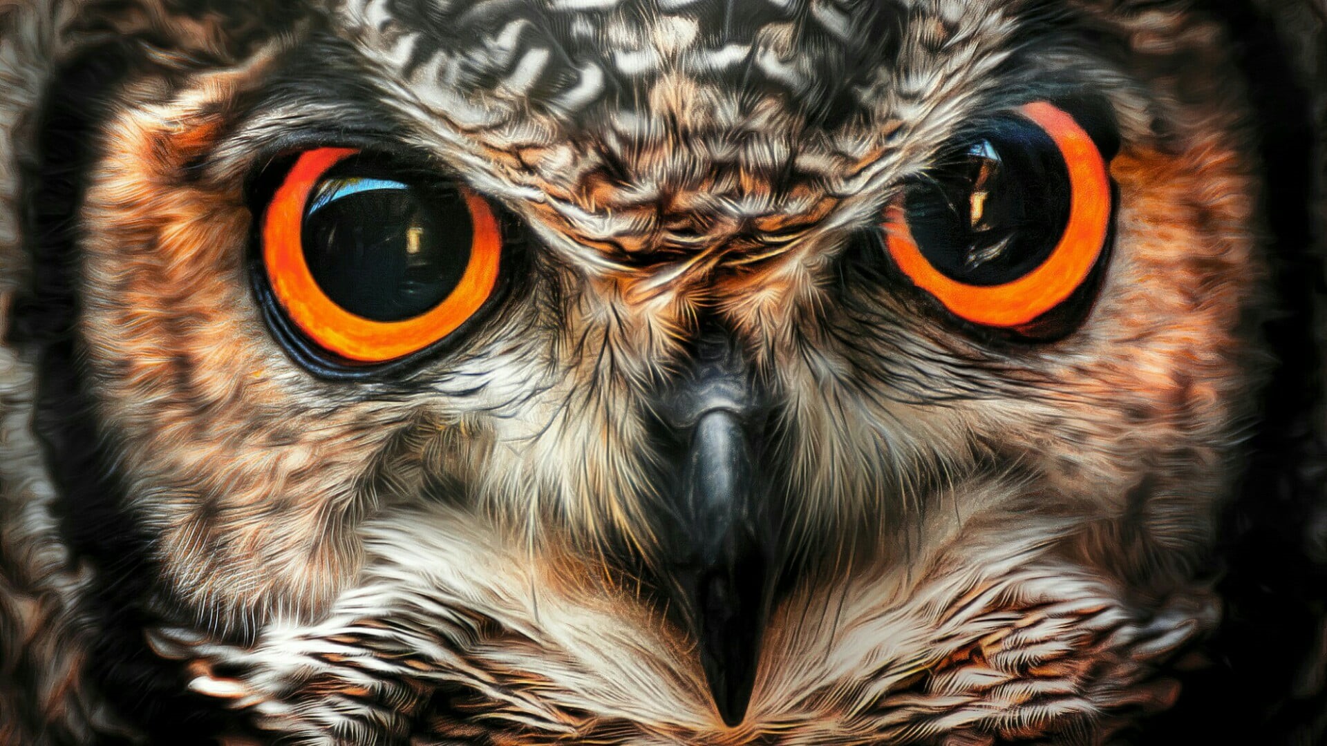 eagle owl, orange color, bubo, macro photography, portrait, animal, looking at camera, no people, eyes, close up, fauna, animal eye, organism, animals in the wild, HD Wallpaper