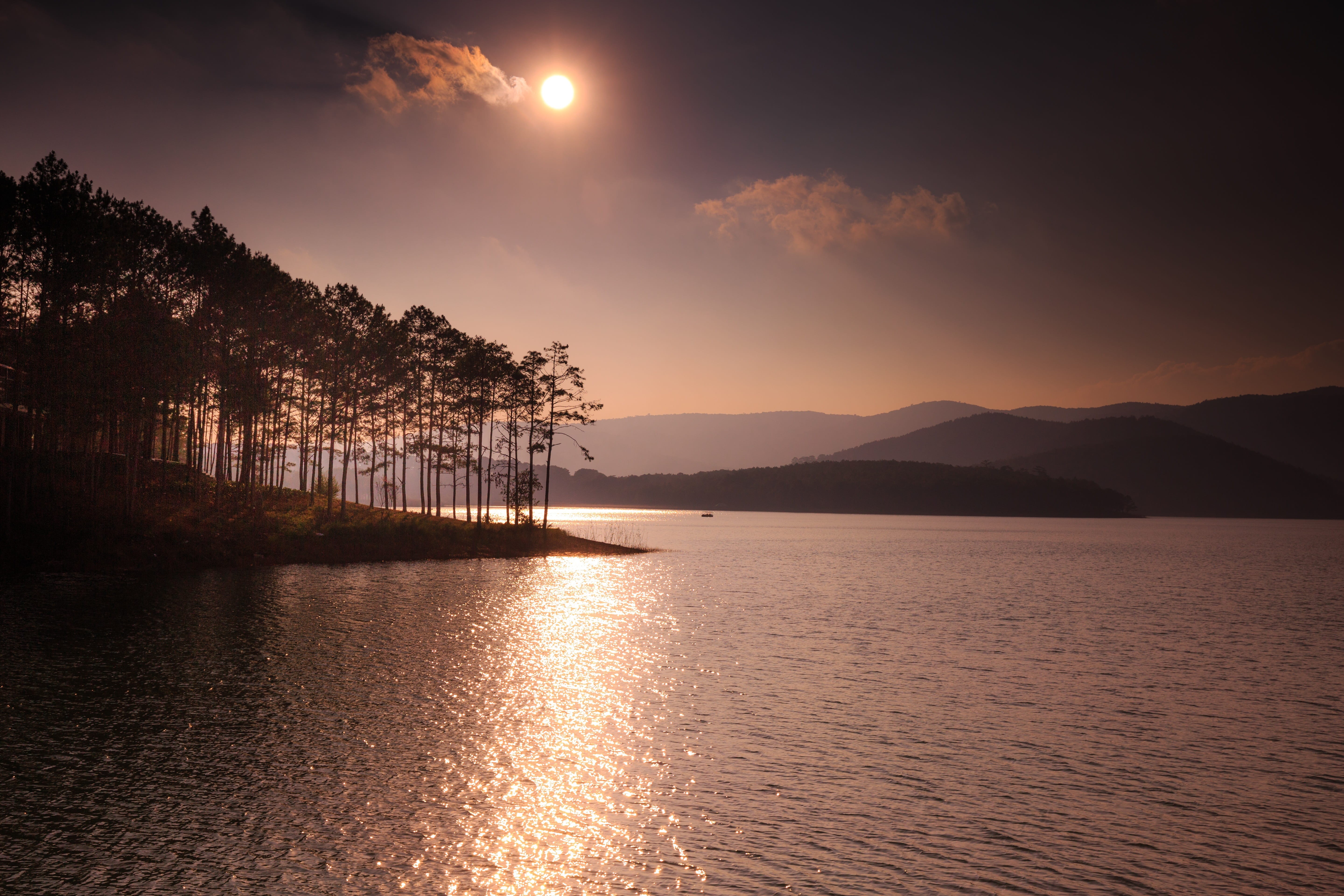 mountains, aspiration, water, quiet, no one, nostalgia, clouds, sea, lake, sadly, nature, pine forest, sky, scenics - nature, tranquility, old, tree, green, HD Wallpaper