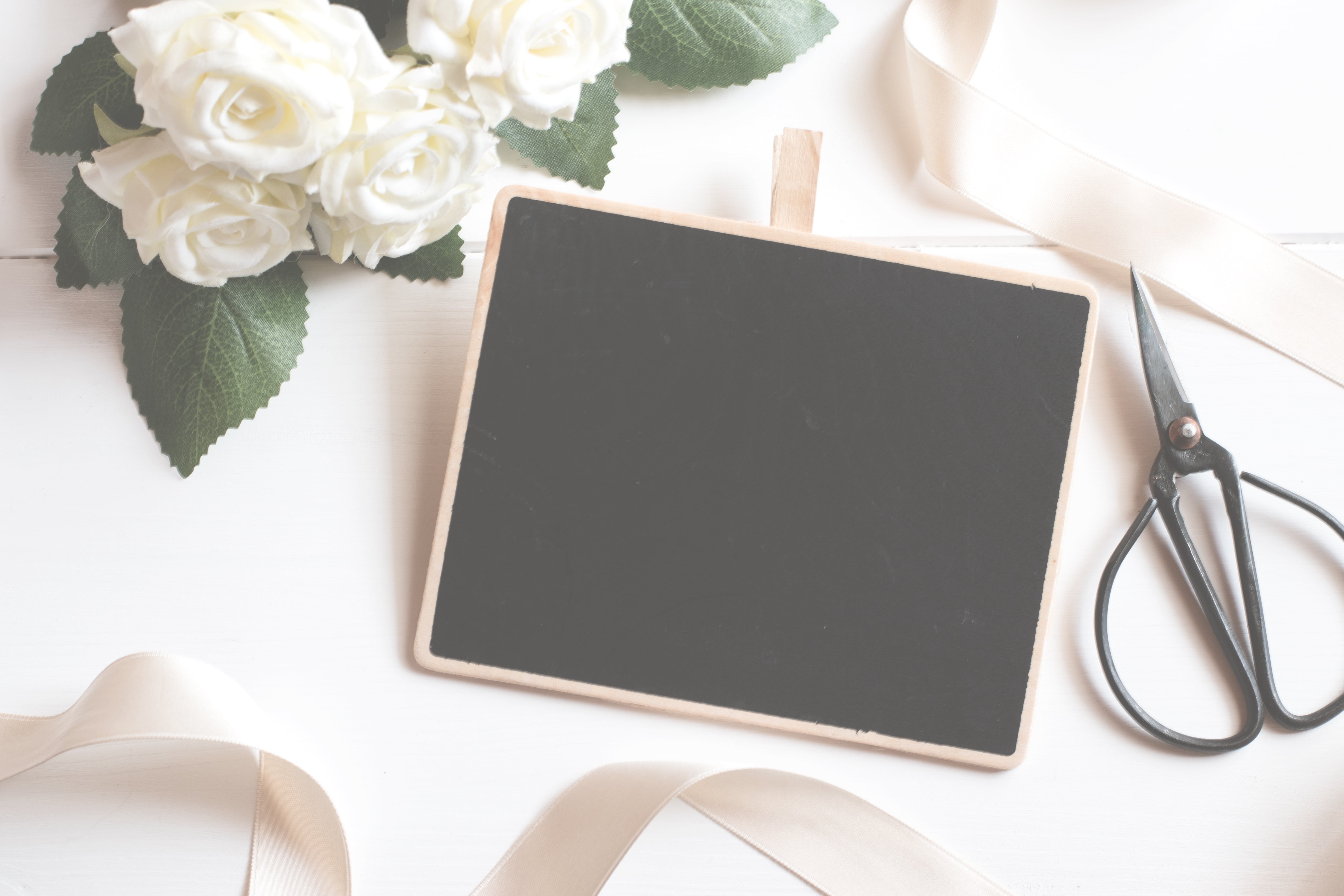 copy-space, decorative, flower arrangement, frame, surface, flowering plant, lifestyle, marriage, space, board, canvas, black, creative, indoors, white background, HD Wallpaper