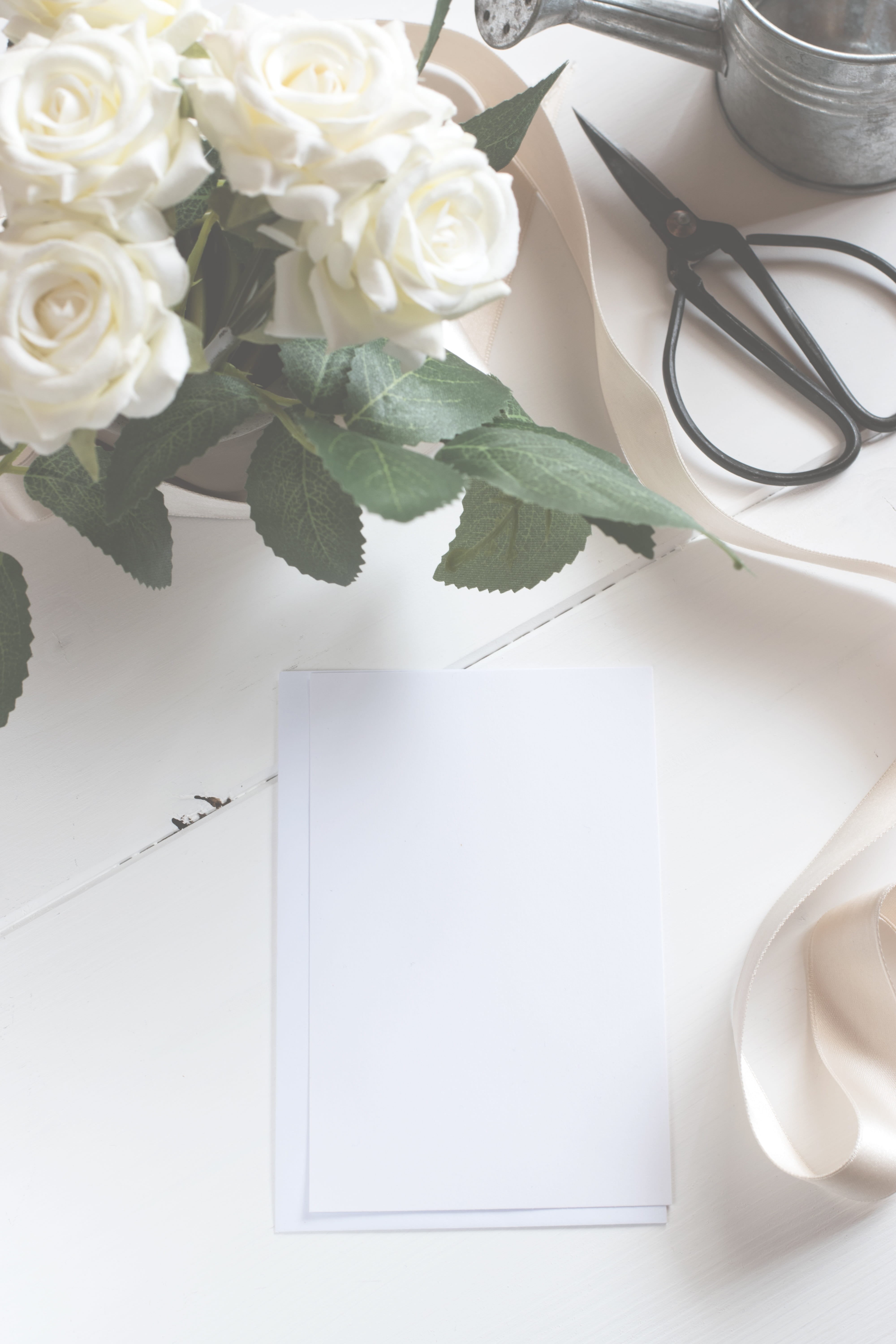 decorative, scissors, inspirational, indoors, still life, leaf, flower, greeting, white color, rose, blank, marriage, close-up, 5K, no people, chic, lifestyle, Phone HD Wallpaper