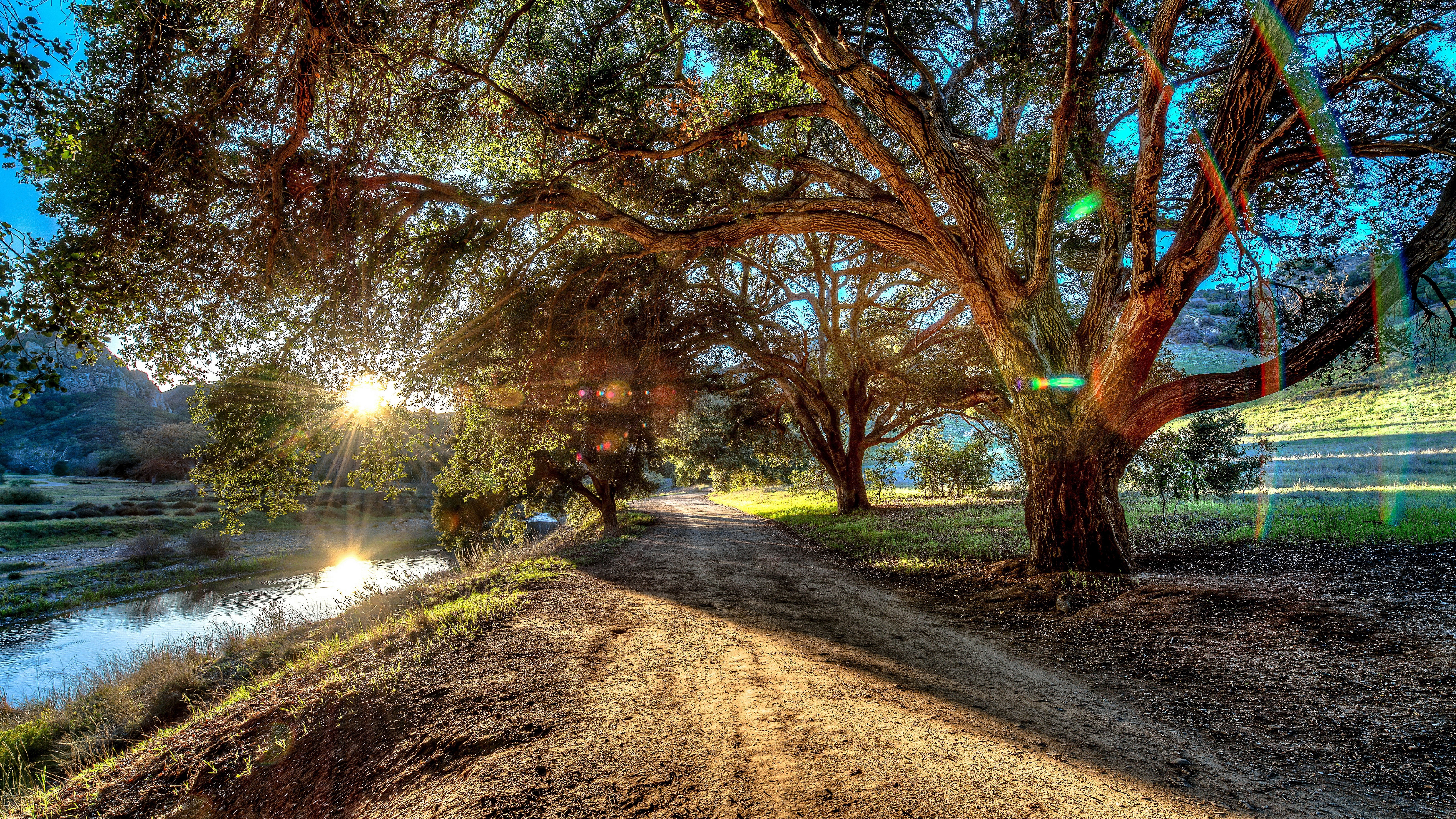 bicycle, ultra hd  8k resolution 7680x4320 natures miracle, beauty in nature, land, day, tree, walking, the way forward, footpath, road, plant, lifestyles, HD Wallpaper