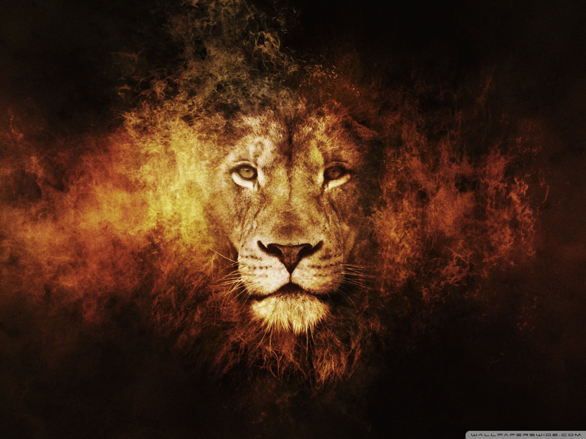 digital art, one animal, texture, lion, cat, animals, digital composite, portrait, mammal, artwork, big cats, looking at camera, no people, 1080P, indoors, HD Wallpaper