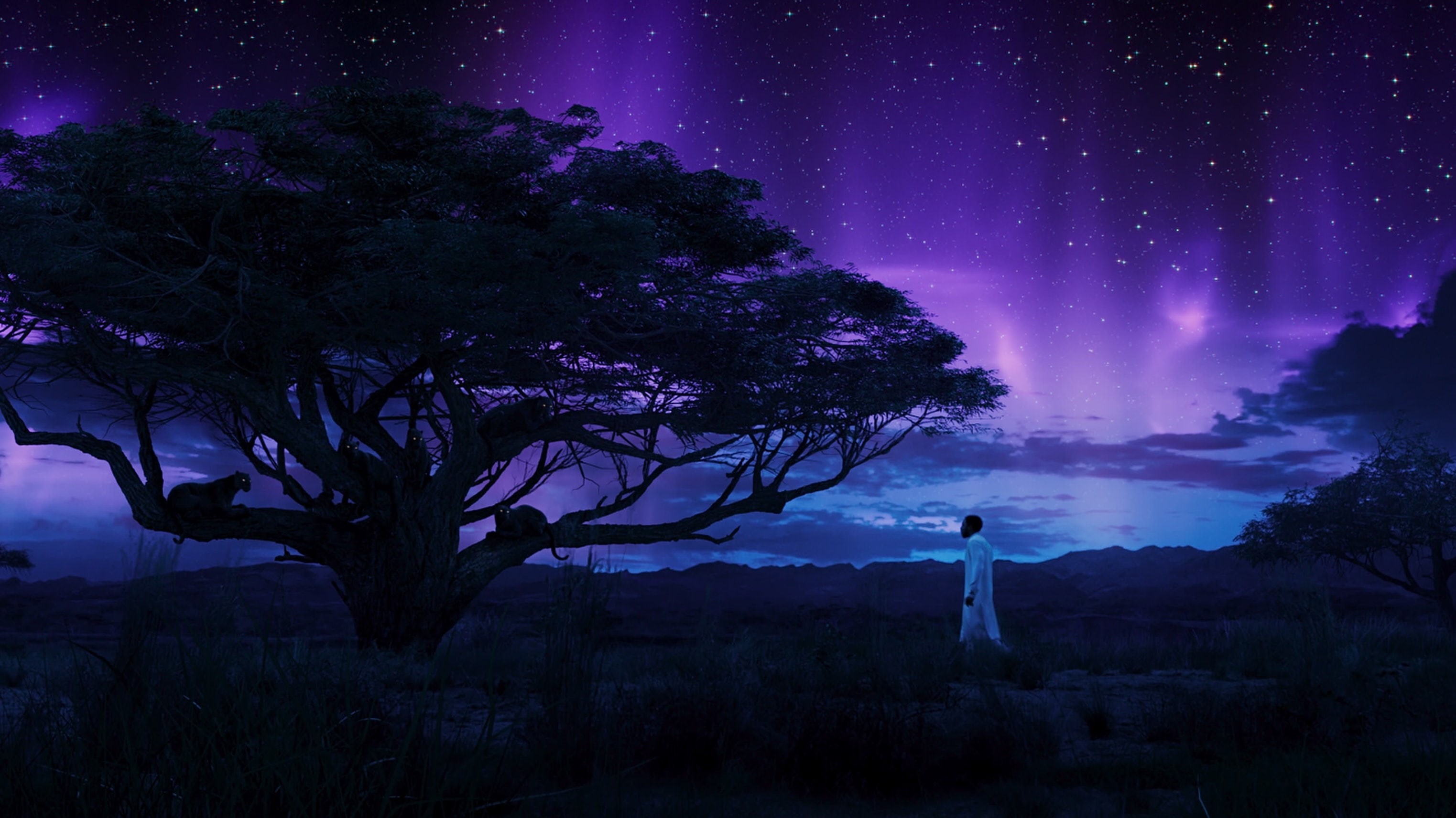 sky, Black Panther, 2K, movies, Marvel Cinematic Universe, HD Wallpaper