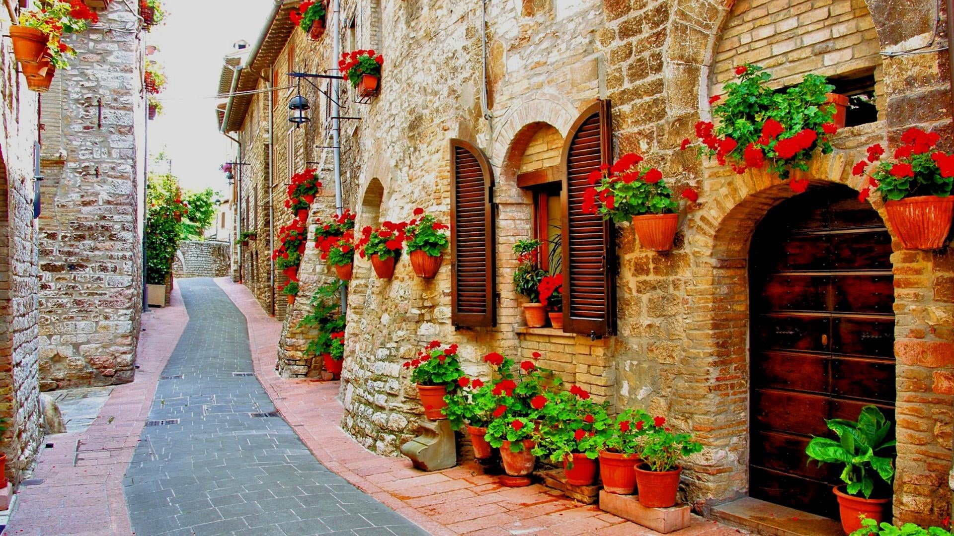1080P, bricked, staircase, facade, street, house, umbria, the way forward, europe, arch, nature, brown, flower pot, plant, floristry, outdoors, multi colored, HD Wallpaper