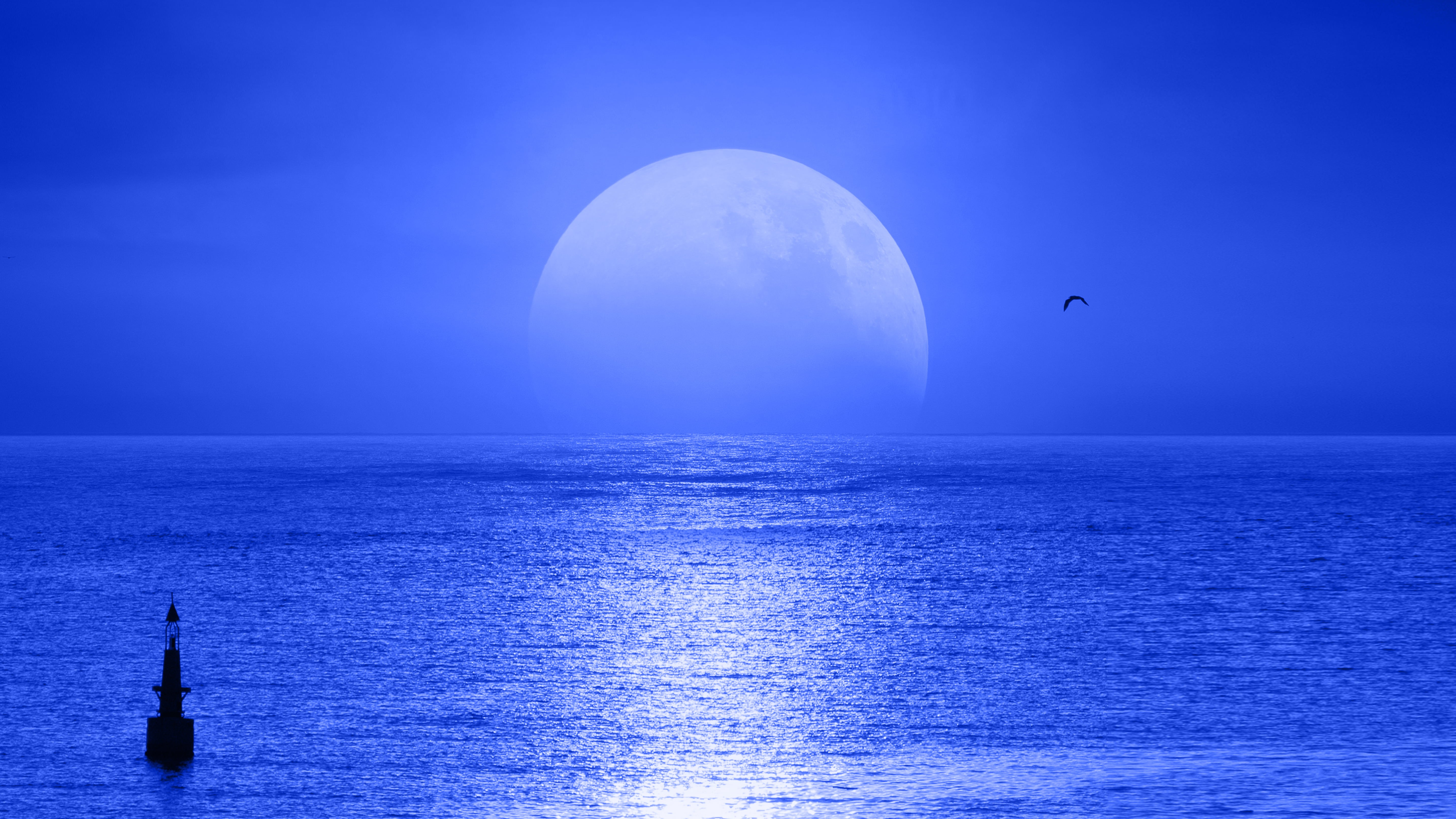 astrophotography, big, 5K, photo, body of water, ocean, seascape, sky, body, lune, moon, astronomy, blue, sea, Moonrise, water, fullmoon, ciel, HD Wallpaper