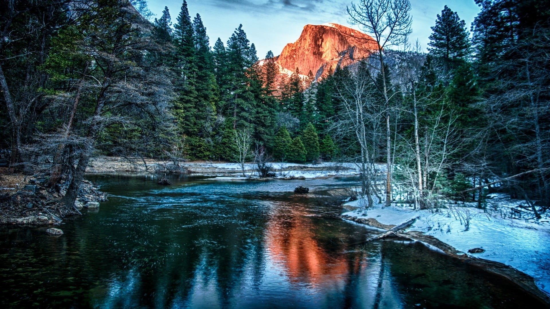 pine trees, 1080P, tranquil scene, no people, forest, scenics - nature, flowing water, idyllic, flowing, plant, growth, tree, cold temperature, outdoors, HD Wallpaper