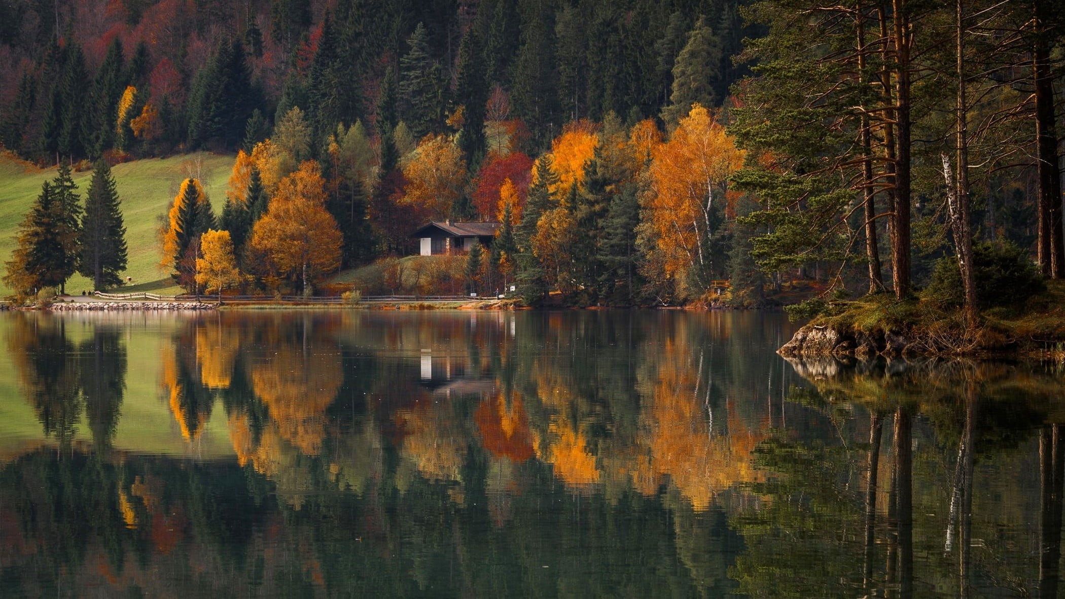 mountain, color Image, autumn collection, forest, near, tranquil Scene, season, fall, leaf, beauty In Nature, woodland, river, outdoors, nature, sky, land, HD Wallpaper