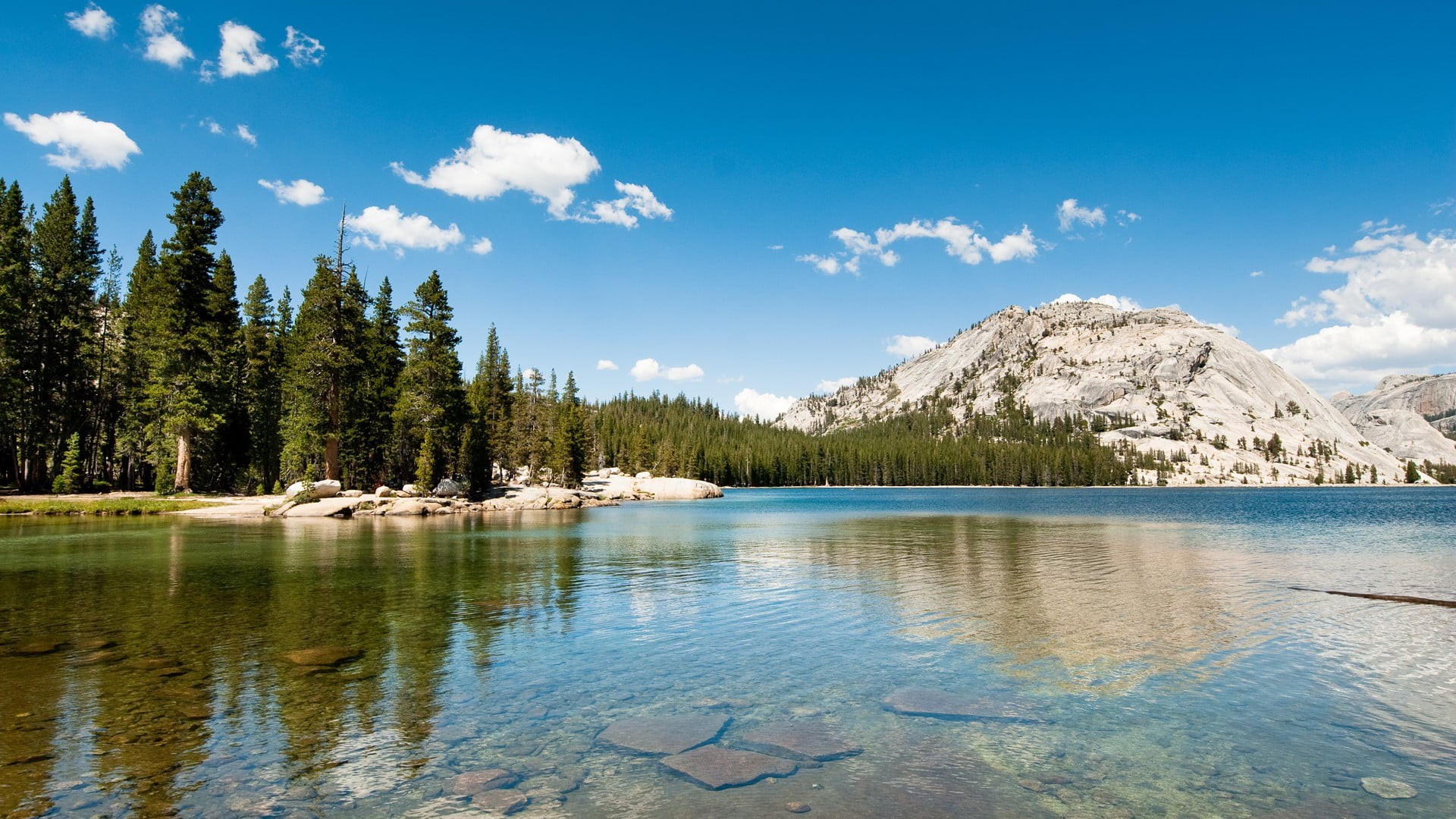 beauty in nature, green, hills, tranquil scene, Yosemite National Park, day, landscape, pine tree, water, scenics - nature, idyllic, tree, non-urban scene, HD Wallpaper
