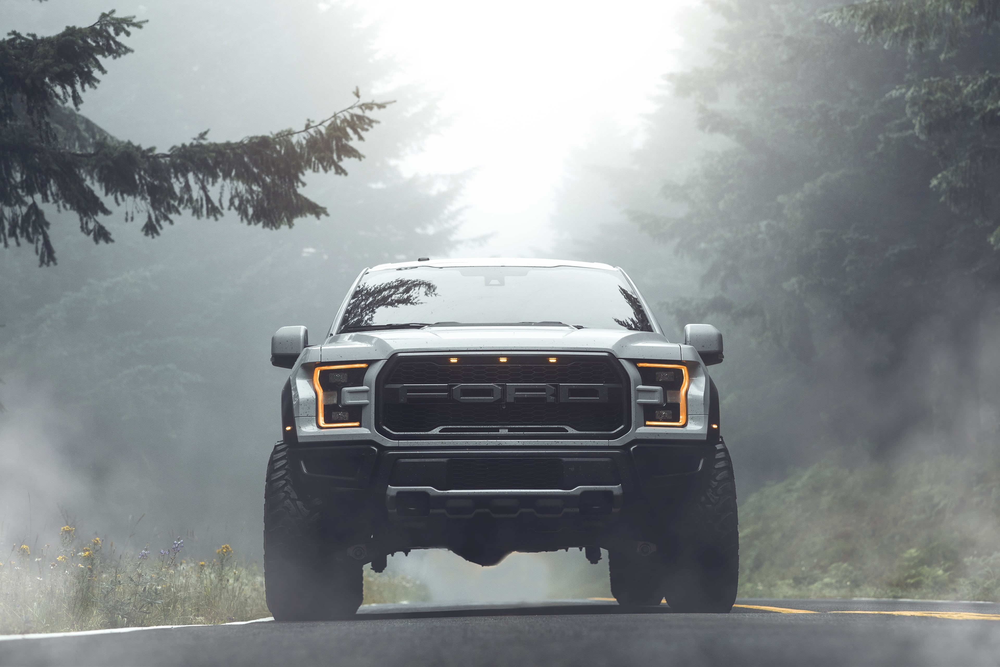 4K, F-150, Ford, pickup, by Aaron Brimhall, Raptor, 2019, HD Wallpaper