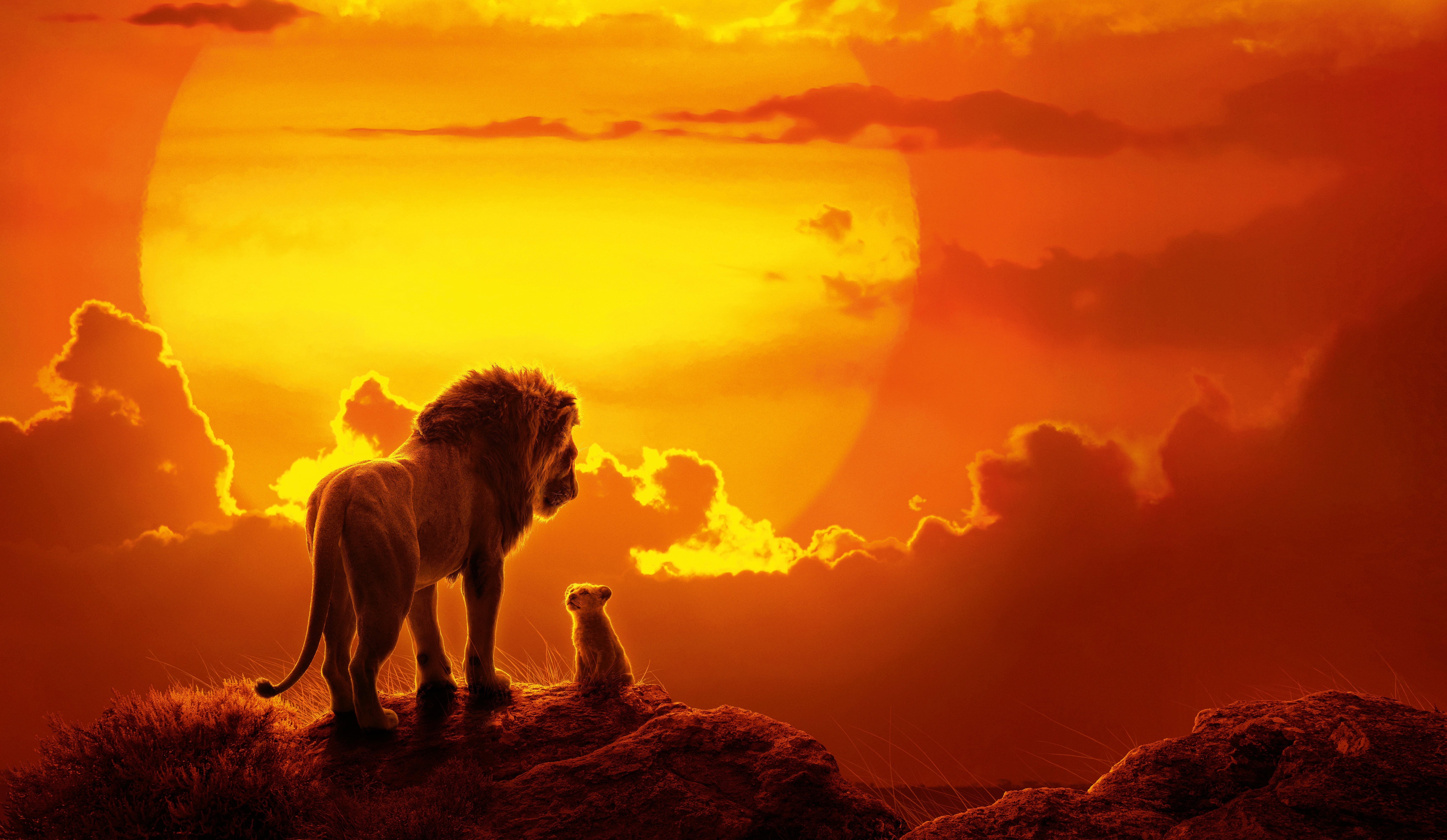 Simba, Mufasa (The Lion King), 8K, The Lion King (2019), Lion, Baby Animal, Movie, HD Wallpaper
