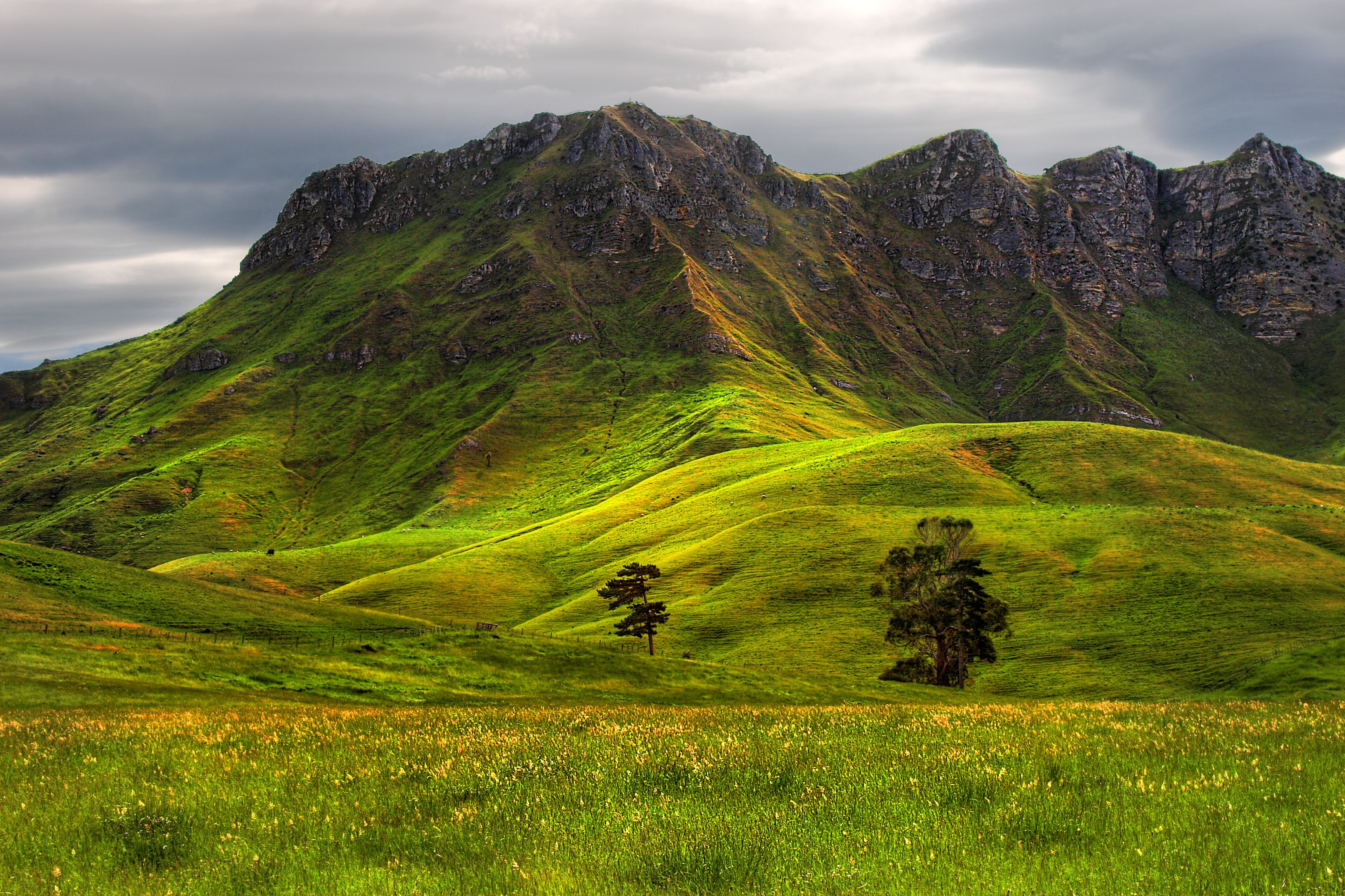 green grass, blue, explore, trees, outdoors, canon  20d, hill, nature, 2K, Solid Rock, mountain, sky, scenics, summer, meadow, landscape, blue sky, grass, HD Wallpaper