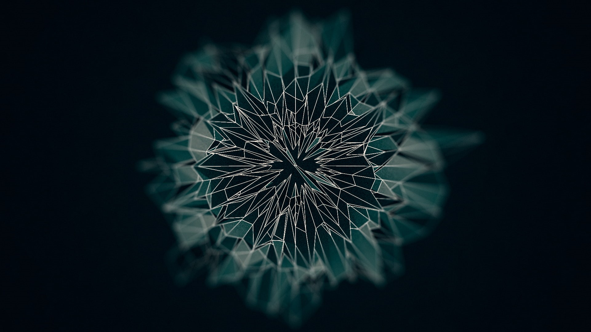 selective focus, flower, dandelion, digital art, freshness, blurred, fragility, dandelion seed, plant, no people, inflorescence, softness, black, HD Wallpaper