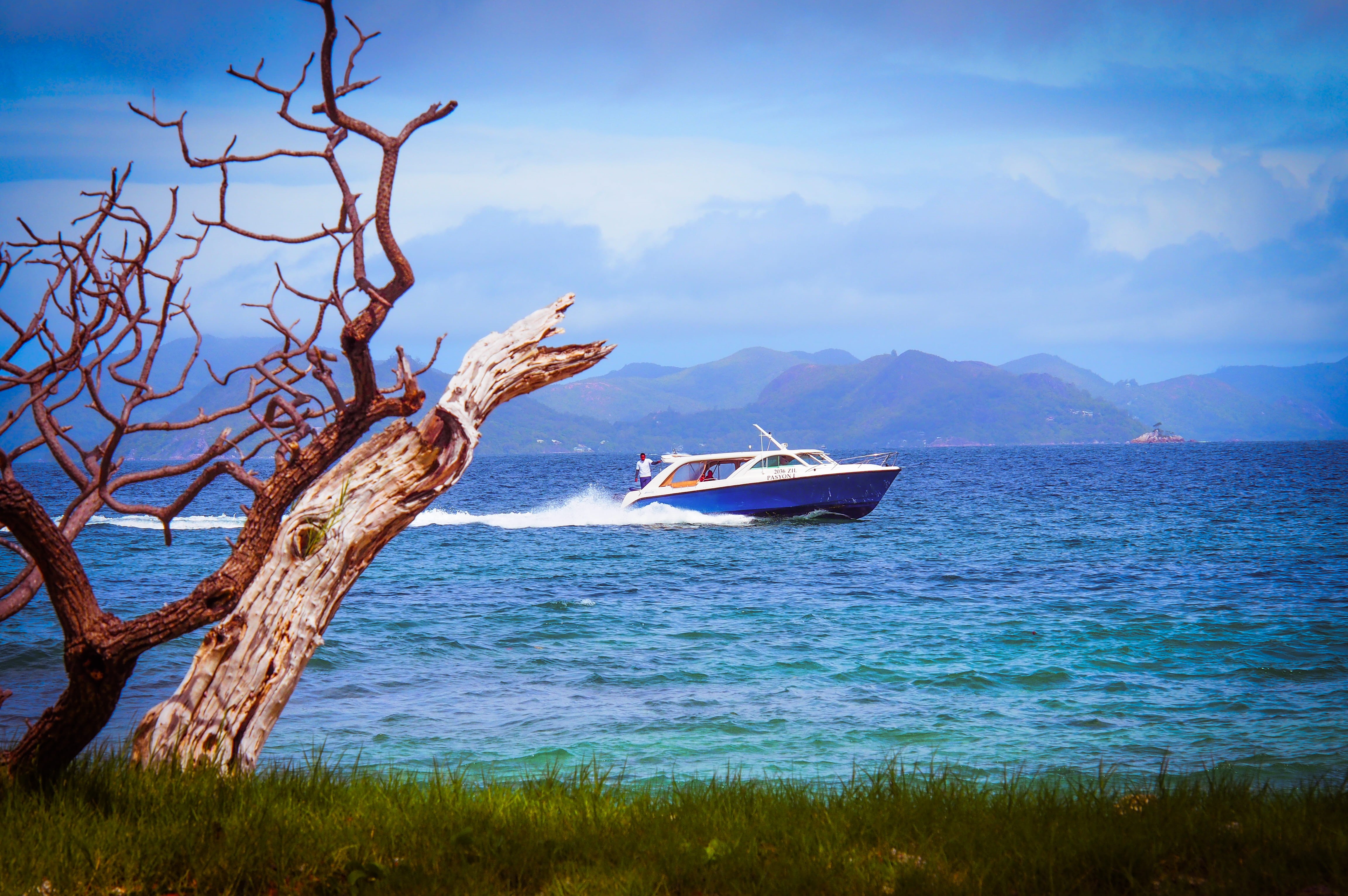 4K, mode of transportation, felicite, nautical vessel, ocean, tree, bare tree, sea, transportation, plant, tranquility, cloud - sky, indianocean, island, HD Wallpaper