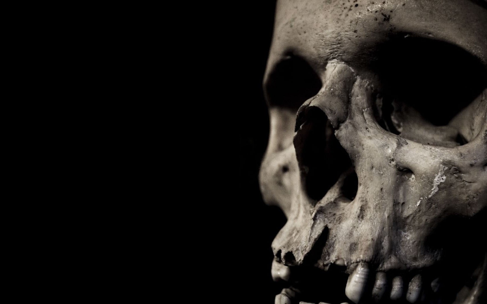 skeleton, history, sadness, the past, human face, 720P, anatomy, bone, human skeleton, human bone, horror, body part, human body part, bones, black background, HD Wallpaper