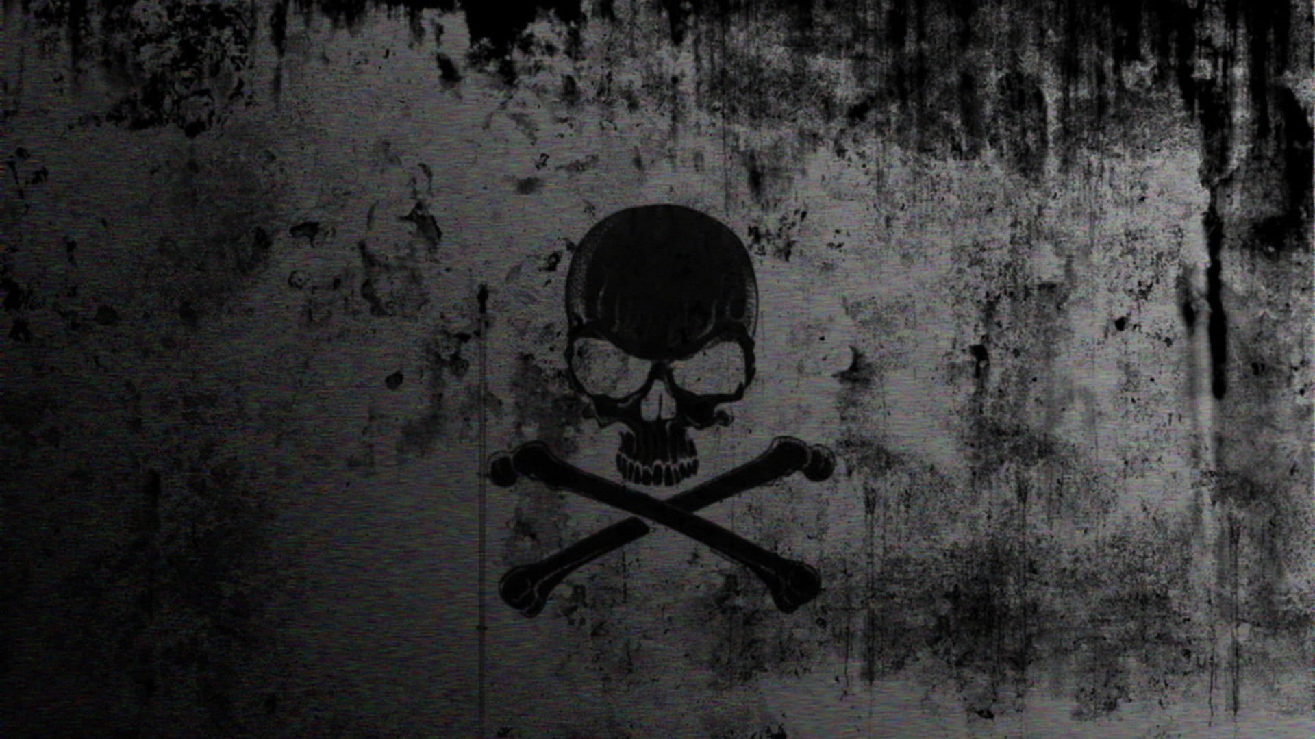 logo, dark, textured, weathered, bone, full frame, wall, digital composite, day, 1080P, skull, death, horror, wood - material, creativity, black color, HD Wallpaper
