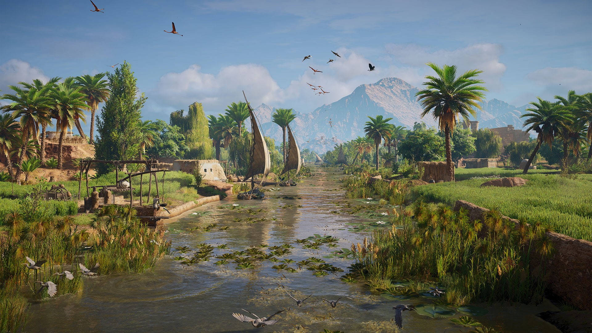 1080P, video games, Assassins Creed: Origins, Ubisoft, Assassins Creed, HD Wallpaper