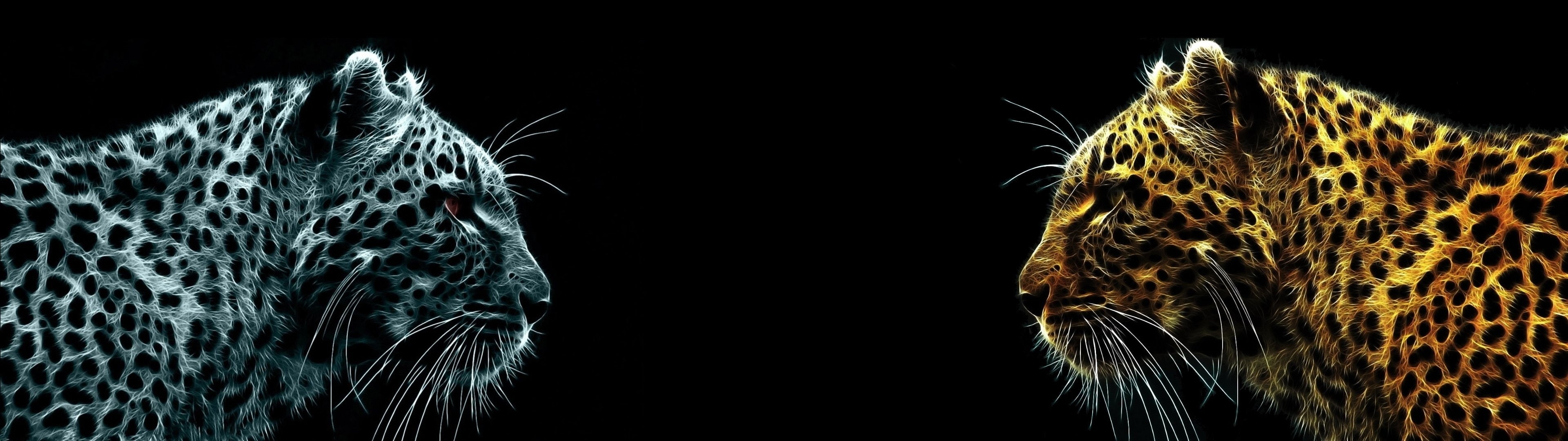 vertebrate, digital composite, animal head, security, close-up, tigers, animal themes, aggression, indoors, animal body part, black background, mammal, HD Wallpaper