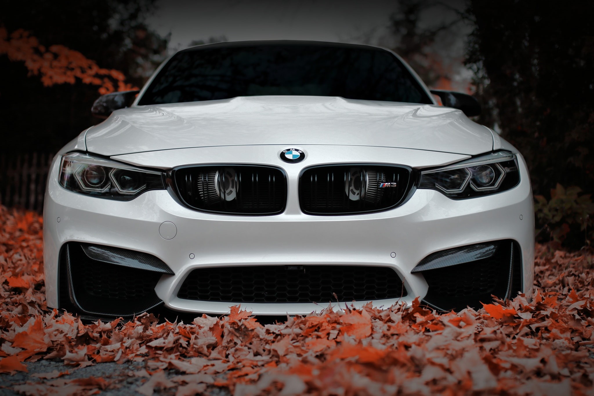 White, Autumn, BMW, Face, Sight, F80, Aggressive, 1080P, Front, HD Wallpaper