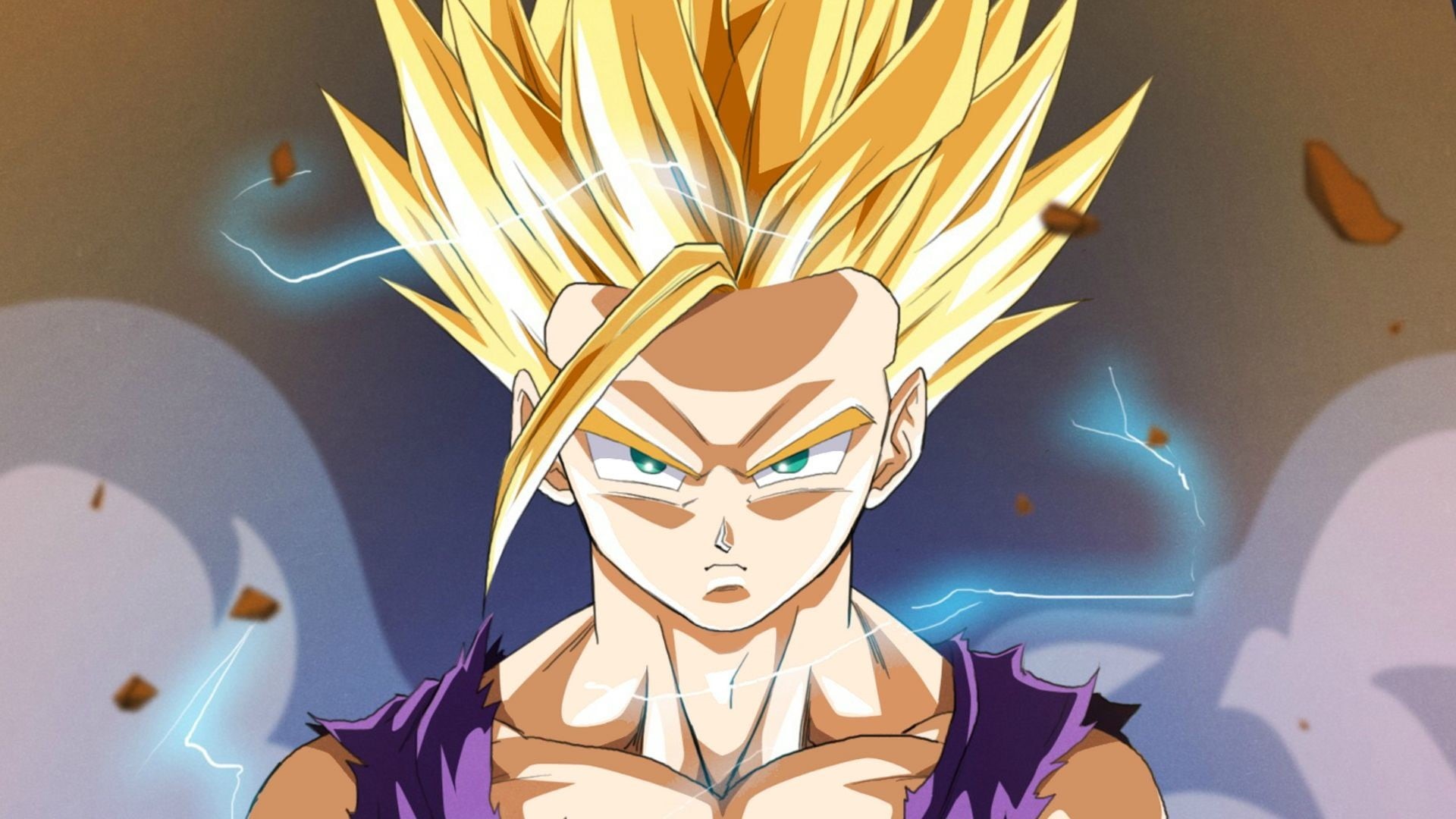 Dragon Ball Z, indoors, super, human skeleton, portrait, people, creativity, representation, close-up, science, 1080P, decoration, human representation, HD Wallpaper