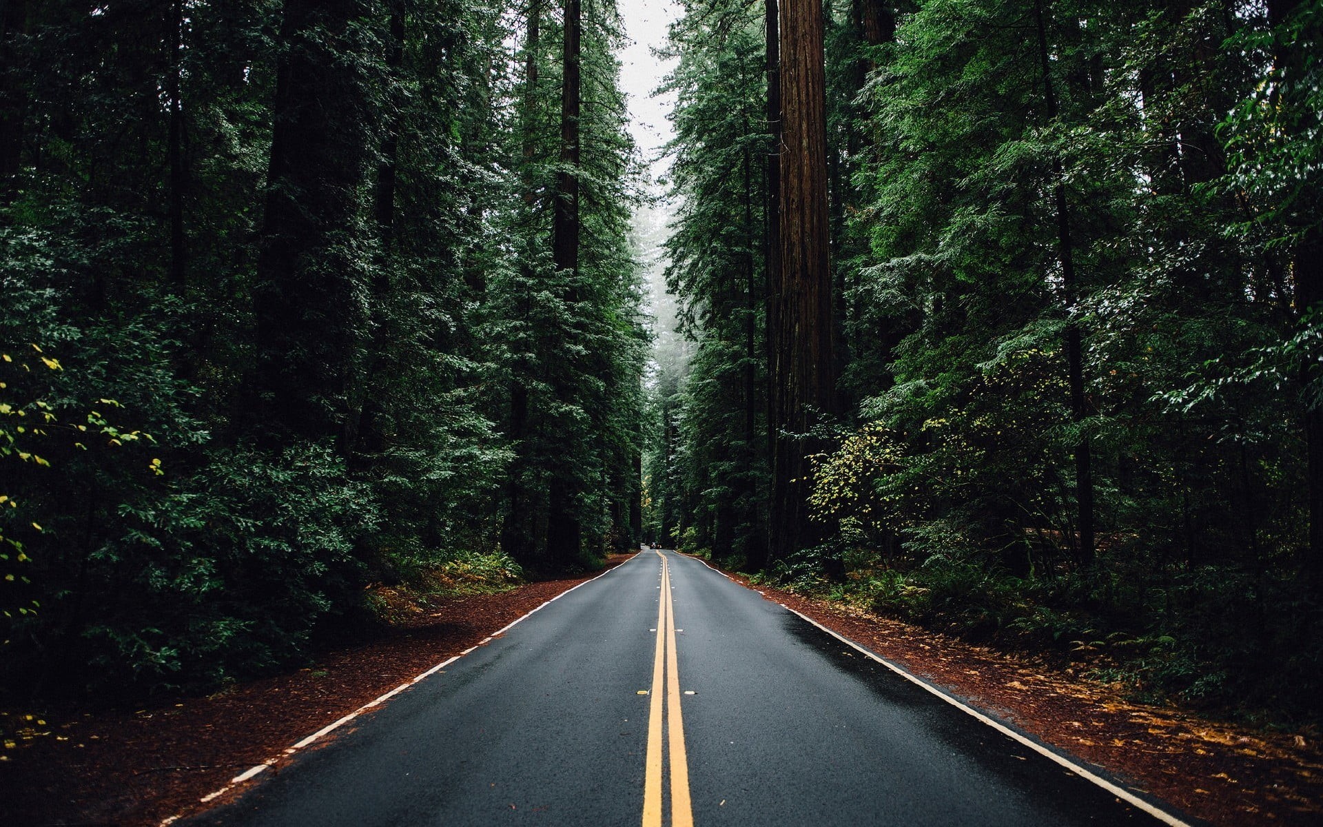 nature, road marking, uSA, marking, outdoors, landscape, rural Scene, green Color, diminishing perspective, mountain, scenics, speed, beauty In Nature, HD Wallpaper