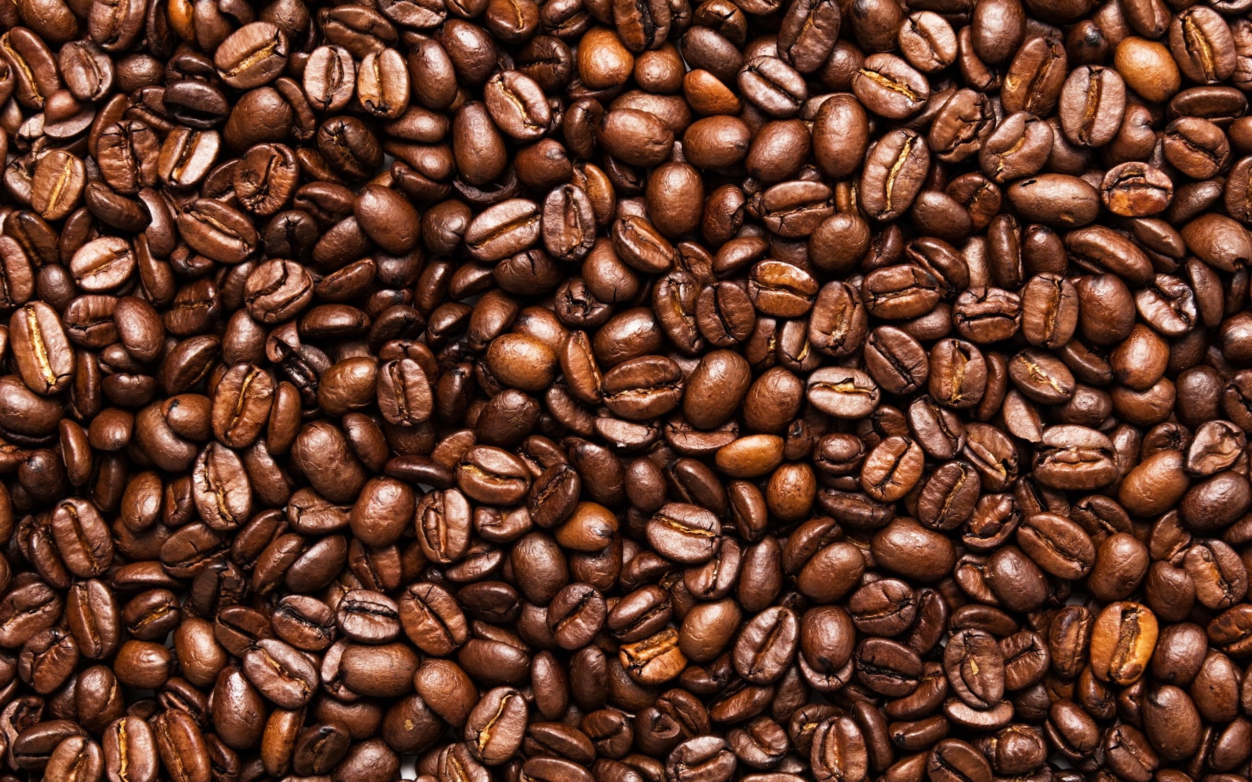 Coffee, Toasted, Seeds, 2K, Beans, HD Wallpaper