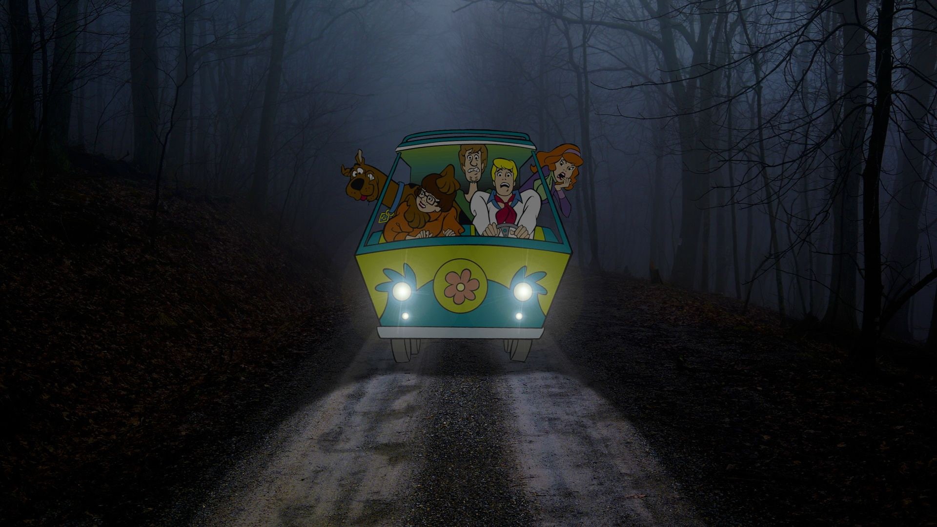 night, cartoon/comic, mystery, machine, trees, doo, 1080P, forest, hd, lights, scooby, HD Wallpaper