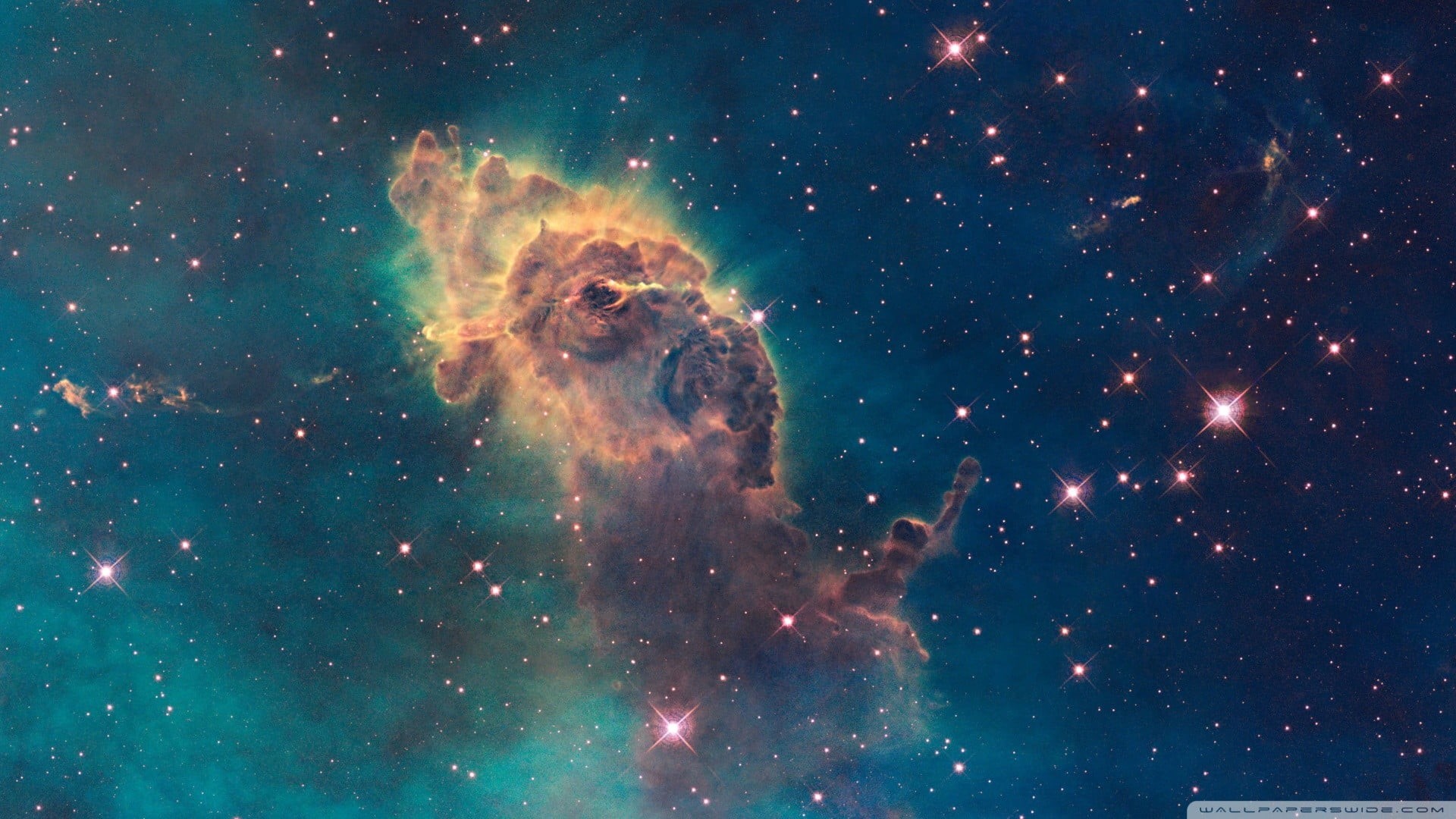 animals in the wild, sky, stars, night, outdoors, nature, space, star - space, way, mammal, low angle view, one animal, beauty in nature, 1080P, galaxy, HD Wallpaper