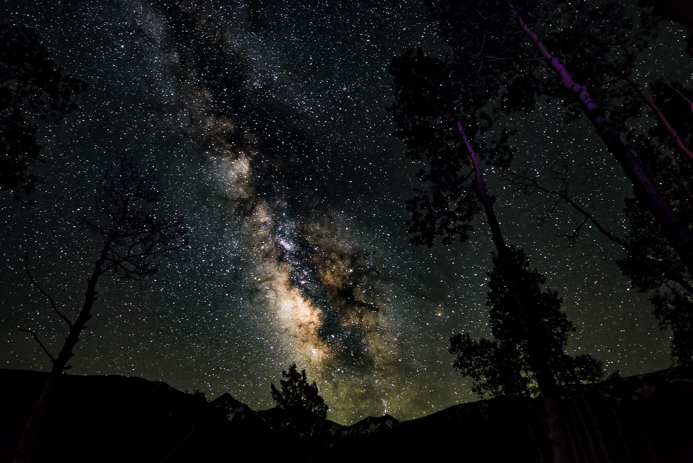 mountain, tree, space and astronomy, star field, low angle view, long exposure, silhouette, astrophotography, stars, star, night, dark, colorado, HD Wallpaper