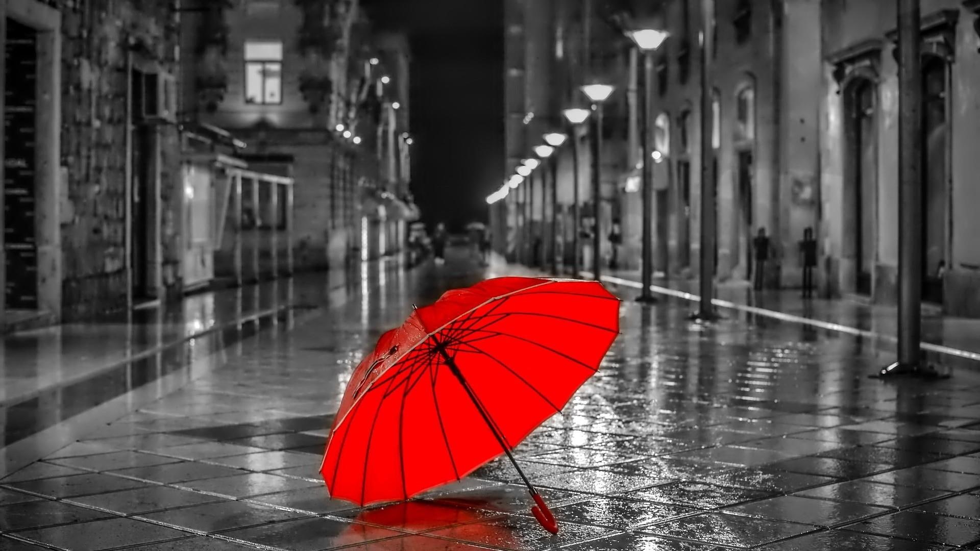 umbrella, 1080P, monochrome, street, raining, rainy, HD Wallpaper