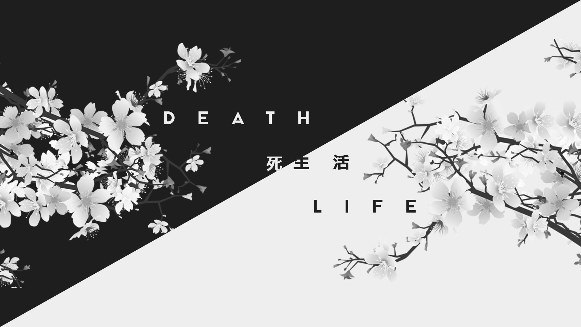1080P, white, life, death, dark, kanji, Japan, HD Wallpaper